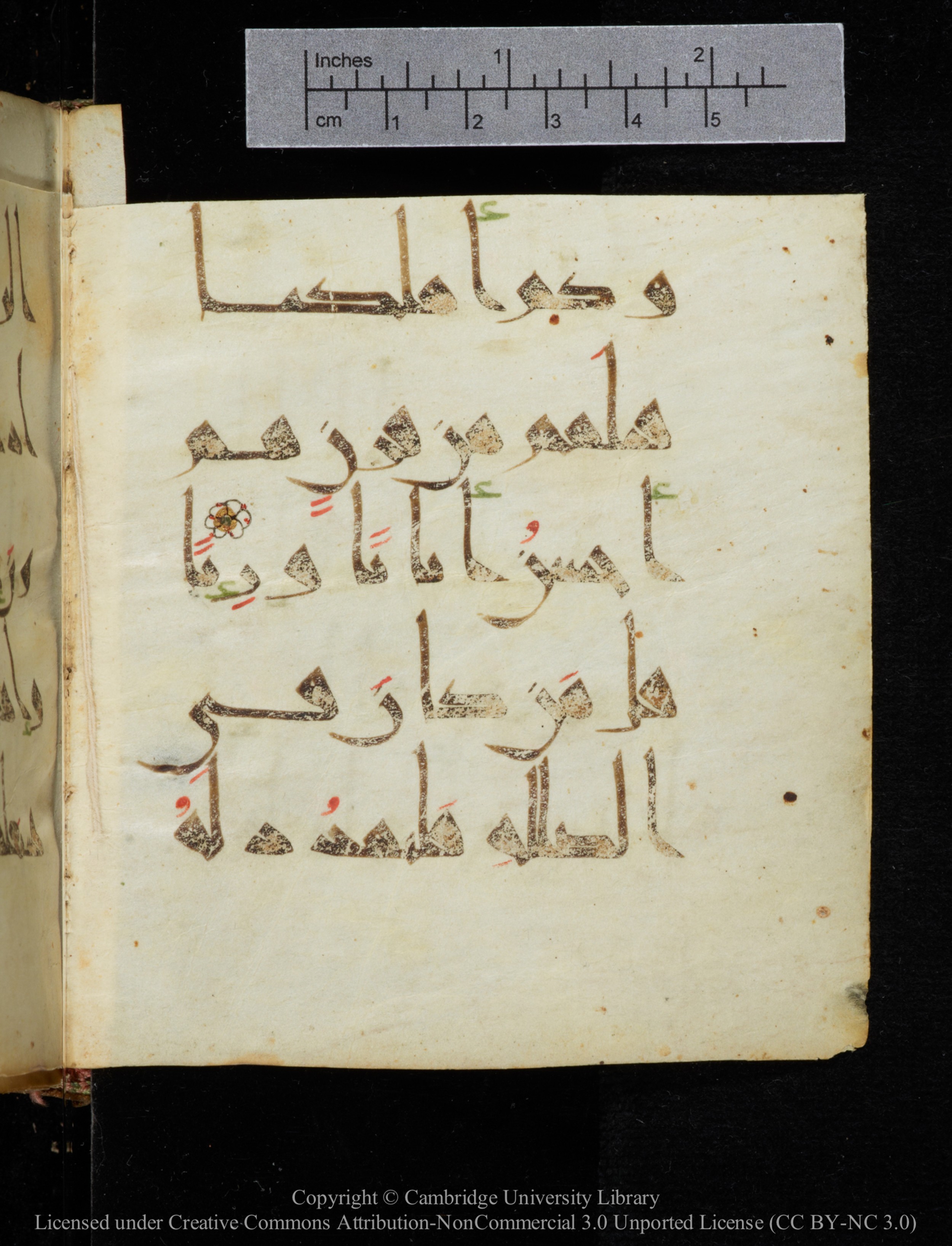 Cambridge, Cambridge University Library, MS Add.2964, in New Style I script, showing Surah 19:74 from 10th to 11th Century AD found in Unknown, currently housed at Cambridge University Library, Cambridge