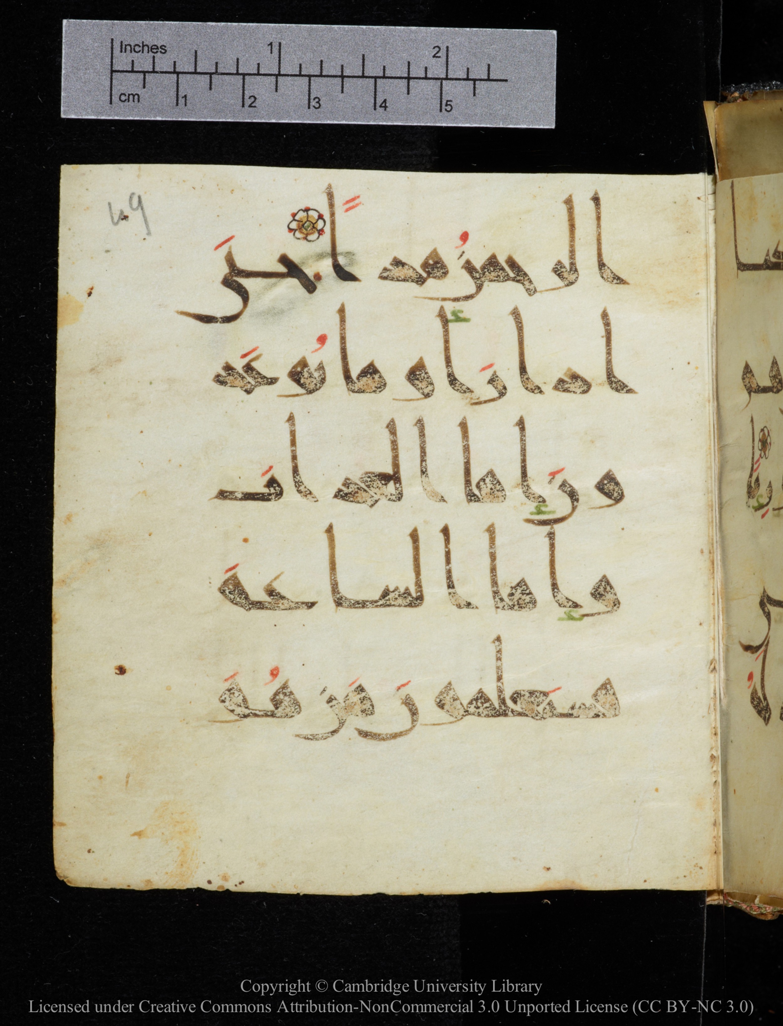 Cambridge, Cambridge University Library, MS Add.2964 (Scan 2), in New Style I script, showing Surah 19:75 from 10th to 11th Century AD found in Unknown, currently housed at Cambridge University Library, Cambridge