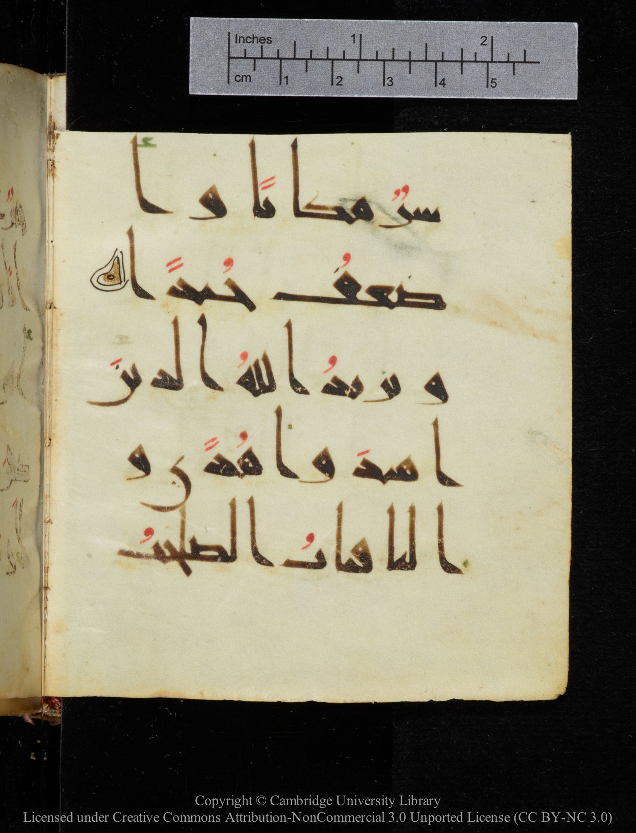 Cambridge, Cambridge University Library, MS Add.2964 (Scan 1), in New Style I script, showing Surah 19:76 from 10th to 11th Century AD found in Unknown, currently housed at Cambridge University Library, Cambridge