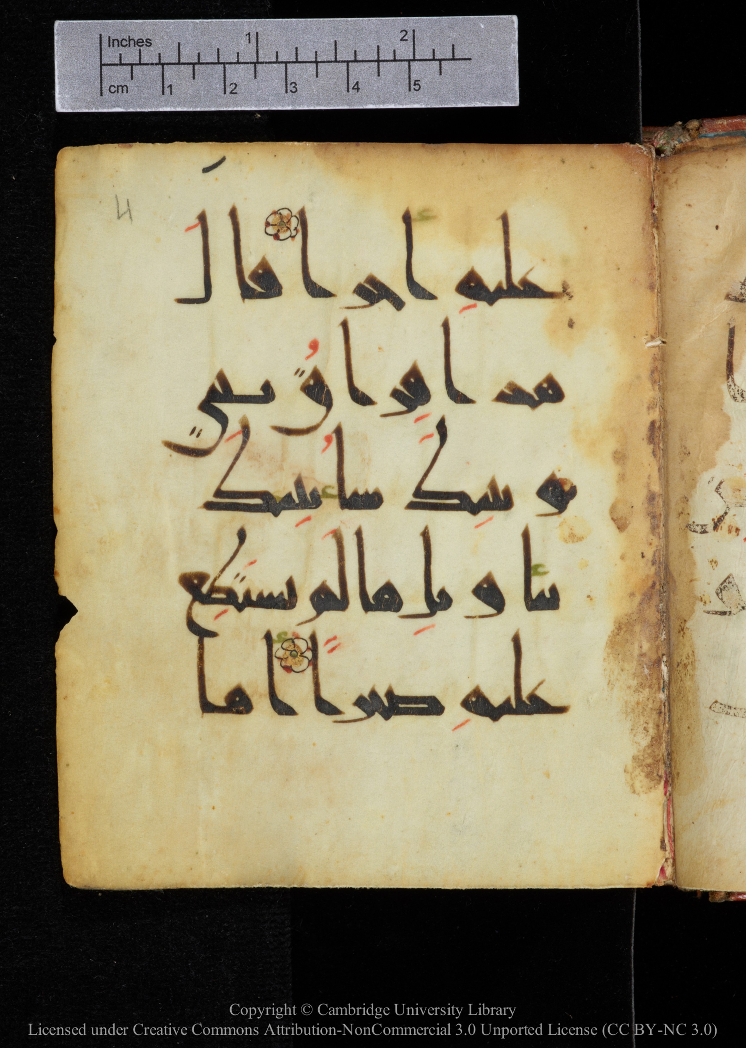 Cambridge, Cambridge University Library, MS Add.2964 (Scan 3), in New Style I script, showing Surah 18:77 from 10th to 11th Century AD found in Unknown, currently housed at Cambridge University Library, Cambridge