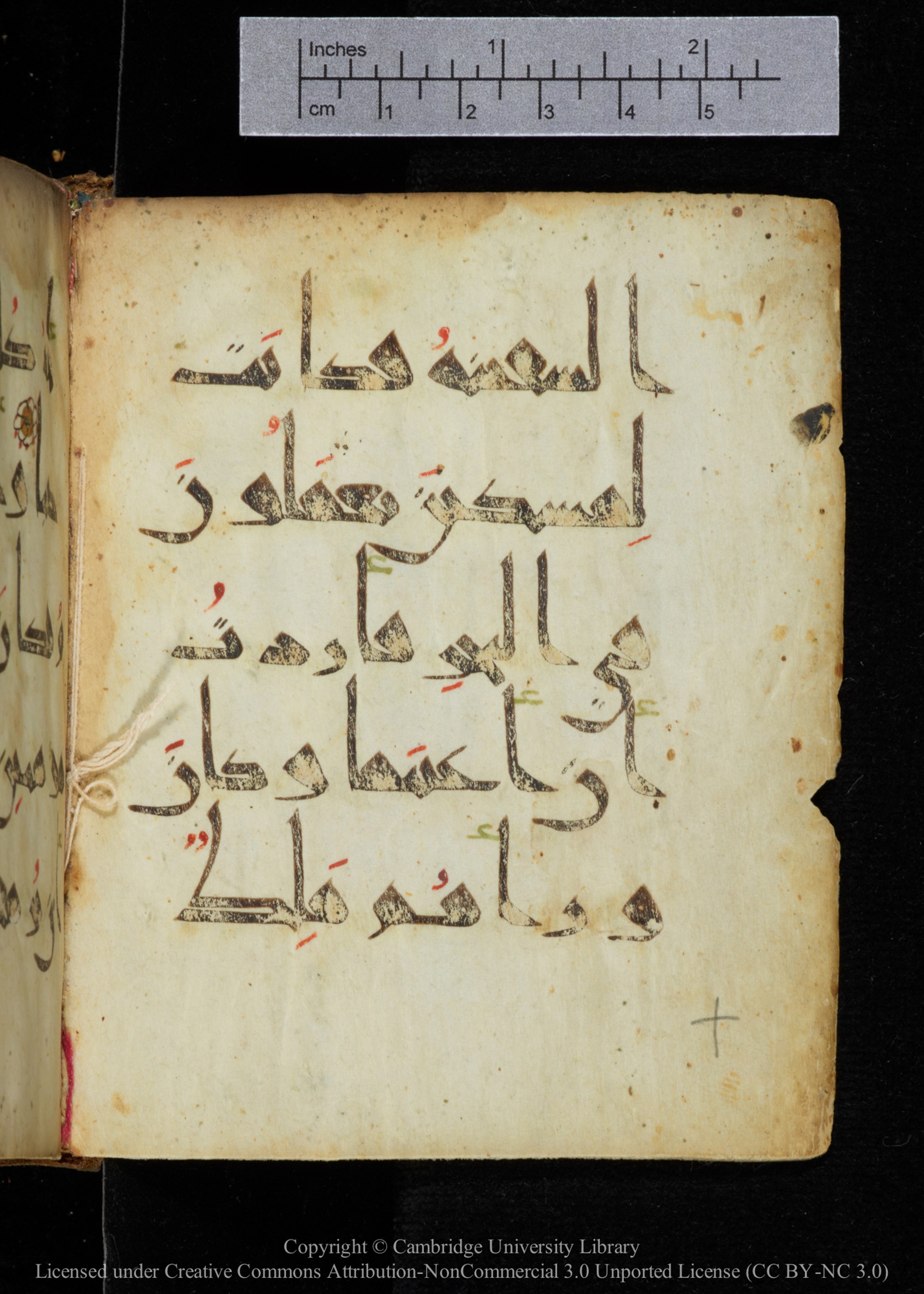 Cambridge, Cambridge University Library, MS Add.2964 (Scan 2), in New Style I script, showing Surah 18:79 from 10th to 11th Century AD found in Unknown, currently housed at Cambridge University Library, Cambridge