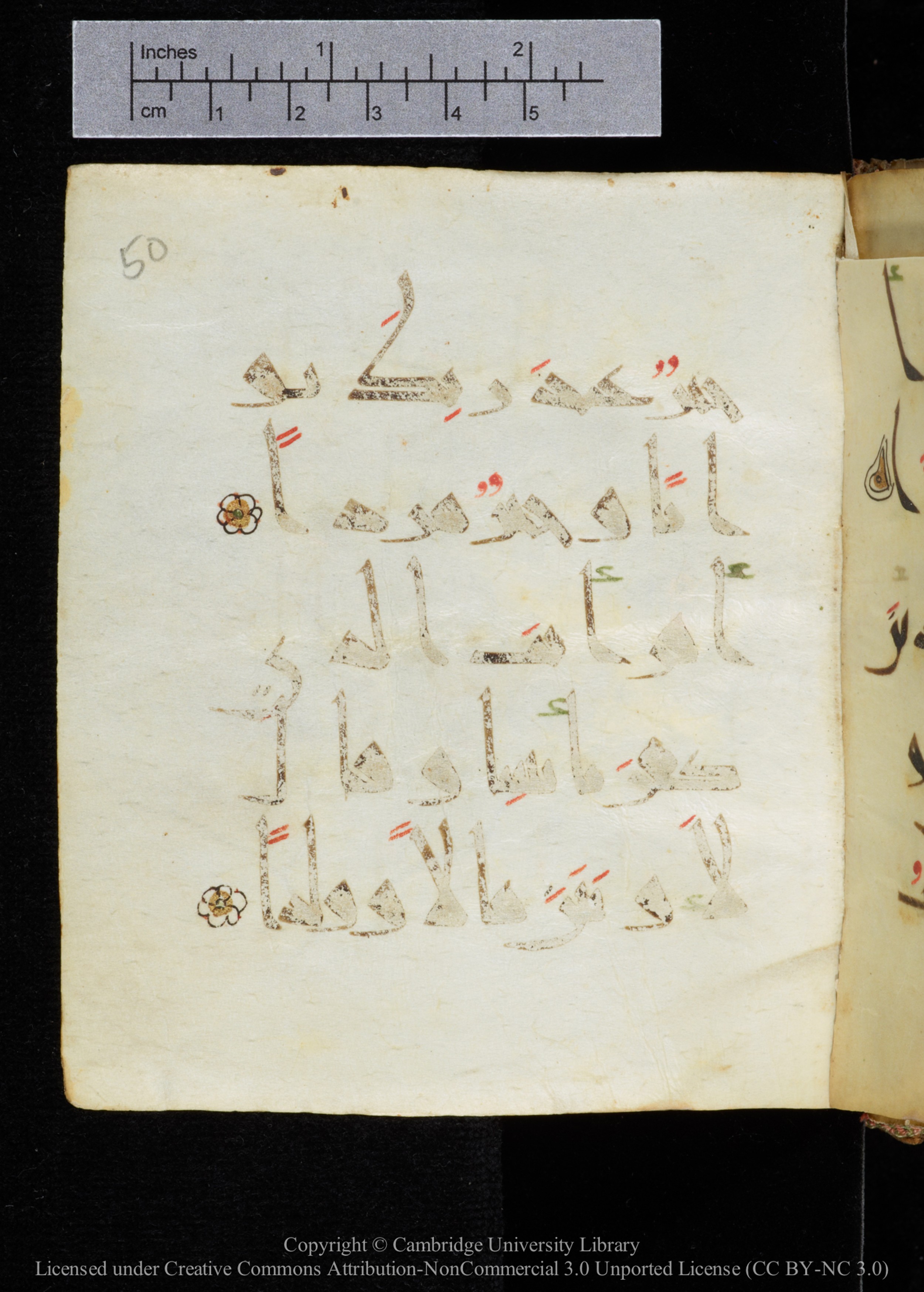 Cambridge, Cambridge University Library, MS Add.2964 (Scan 2), in New Style I script, showing Surah 19:76 from 10th to 11th Century AD found in Unknown, currently housed at Cambridge University Library, Cambridge