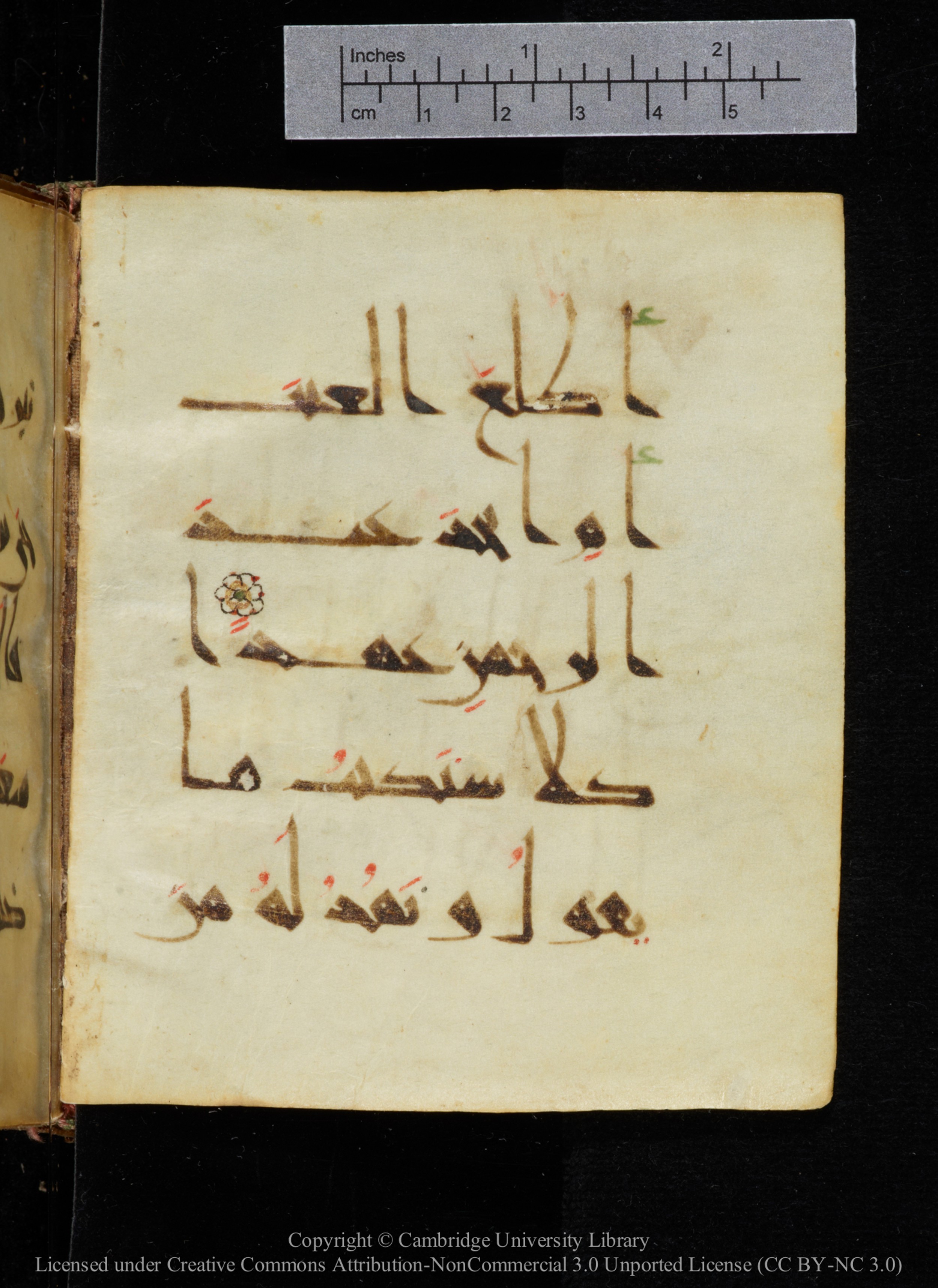 Cambridge, Cambridge University Library, MS Add.2964, in New Style I script, showing Surah 19:78 from 10th to 11th Century AD found in Unknown, currently housed at Cambridge University Library, Cambridge