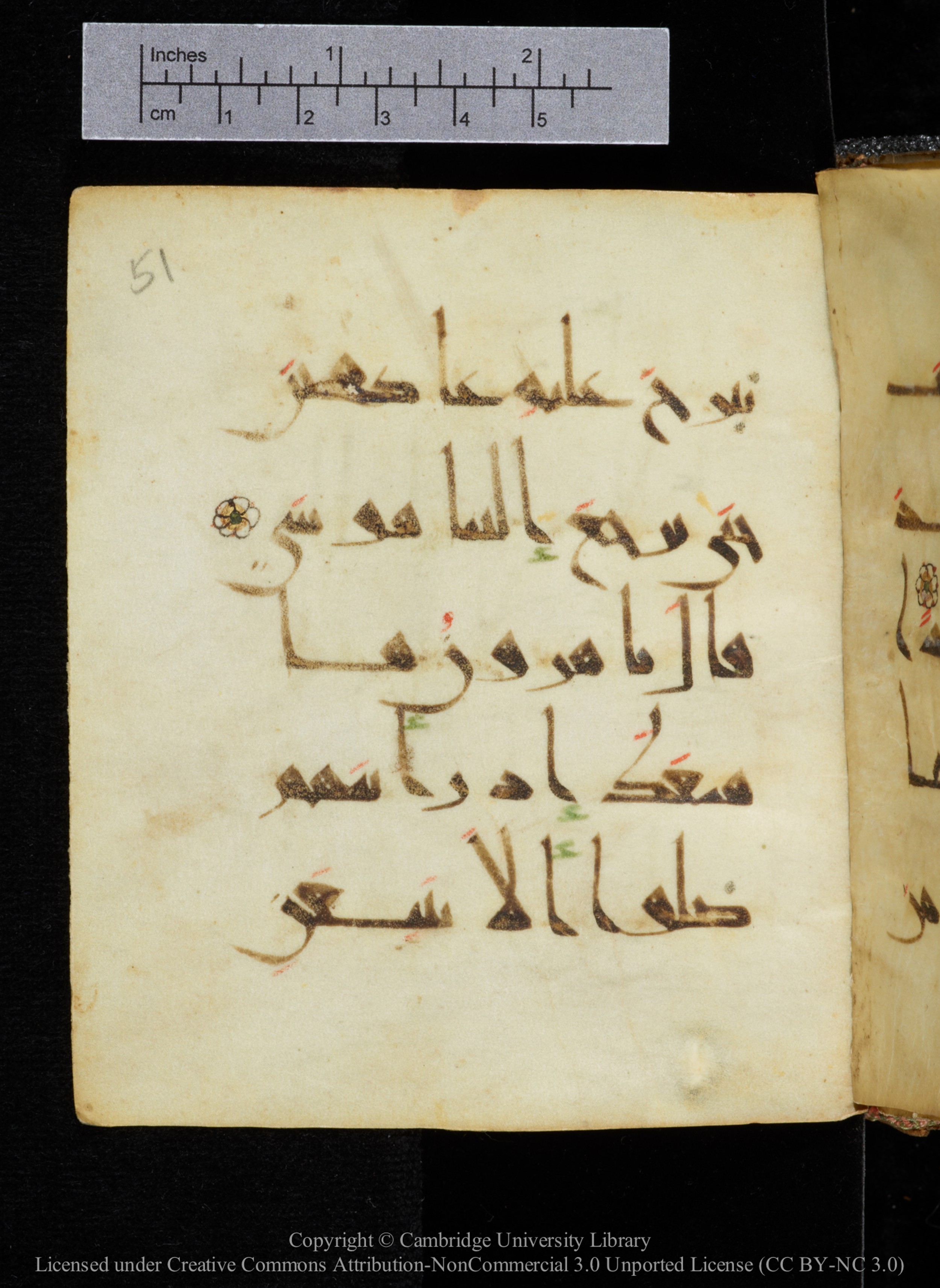 Cambridge, Cambridge University Library, MS Add.2964 (Scan 2), in New Style I script, showing Surah 20:91 from 10th to 11th Century AD found in Unknown, currently housed at Cambridge University Library, Cambridge