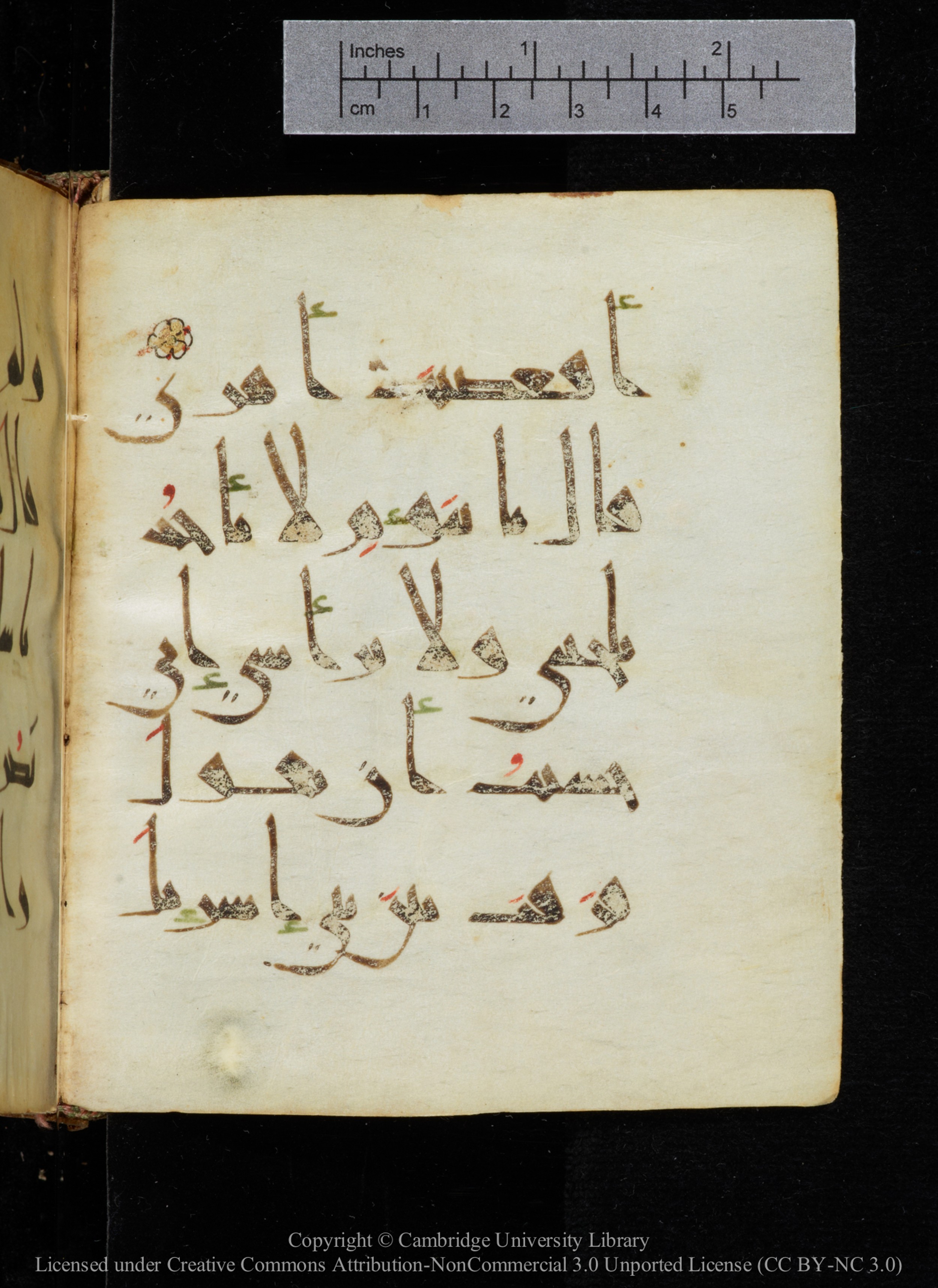Cambridge, Cambridge University Library, MS Add.2964 (Scan 1), in New Style I script, showing Surah 20:94 from 10th to 11th Century AD found in Unknown, currently housed at Cambridge University Library, Cambridge