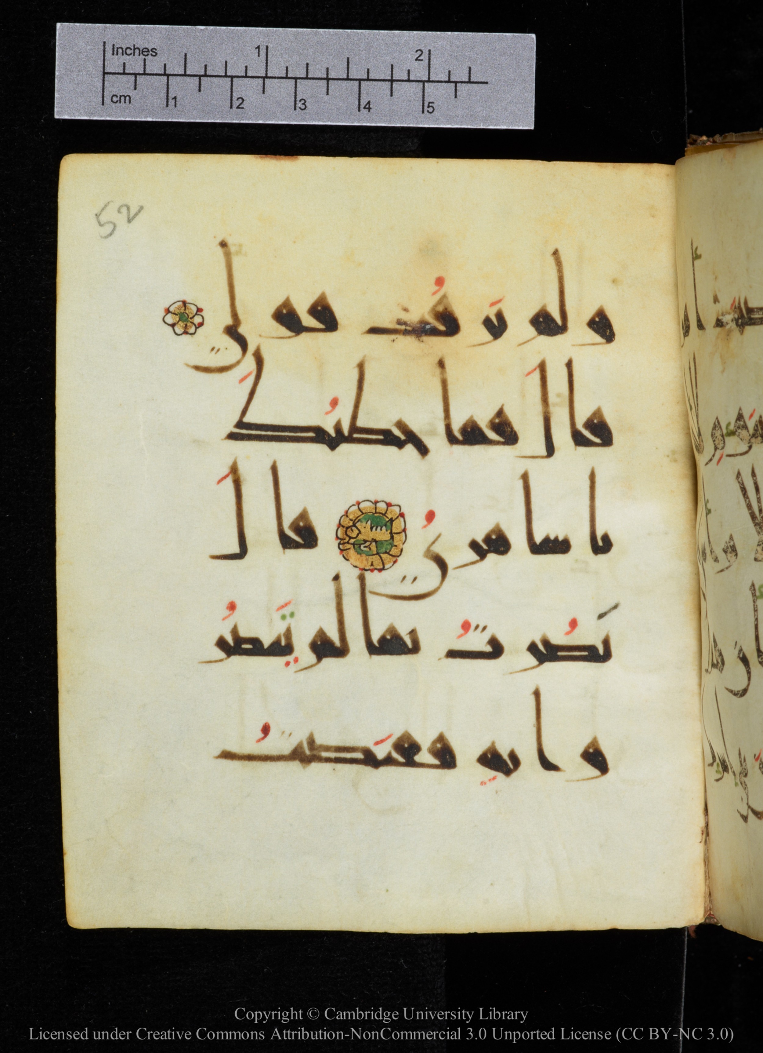 Cambridge, Cambridge University Library, MS Add.2964 (Scan 2), in New Style I script, showing Surah 20:94 from 10th to 11th Century AD found in Unknown, currently housed at Cambridge University Library, Cambridge
