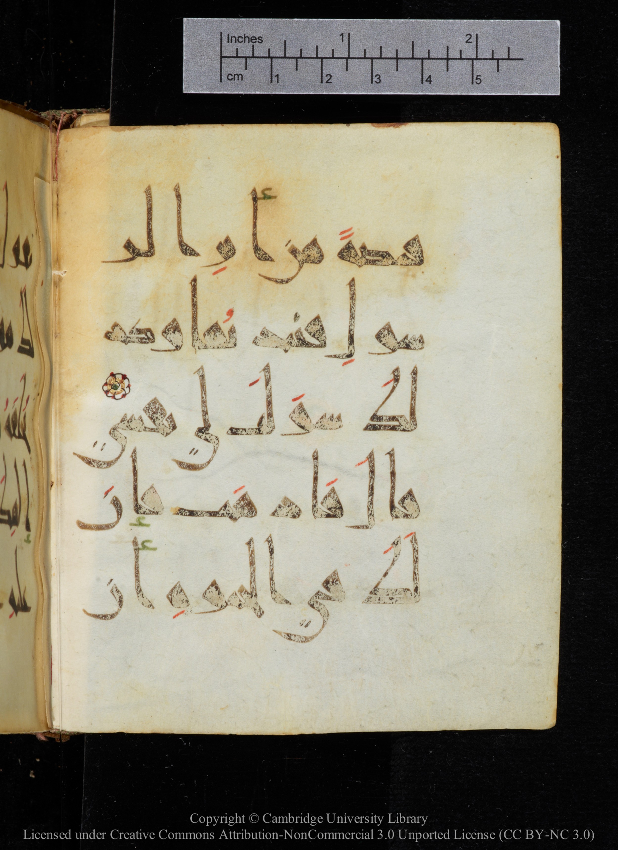 Cambridge, Cambridge University Library, MS Add.2964 (Scan 1), in New Style I script, showing Surah 20:97 from 10th to 11th Century AD found in Unknown, currently housed at Cambridge University Library, Cambridge