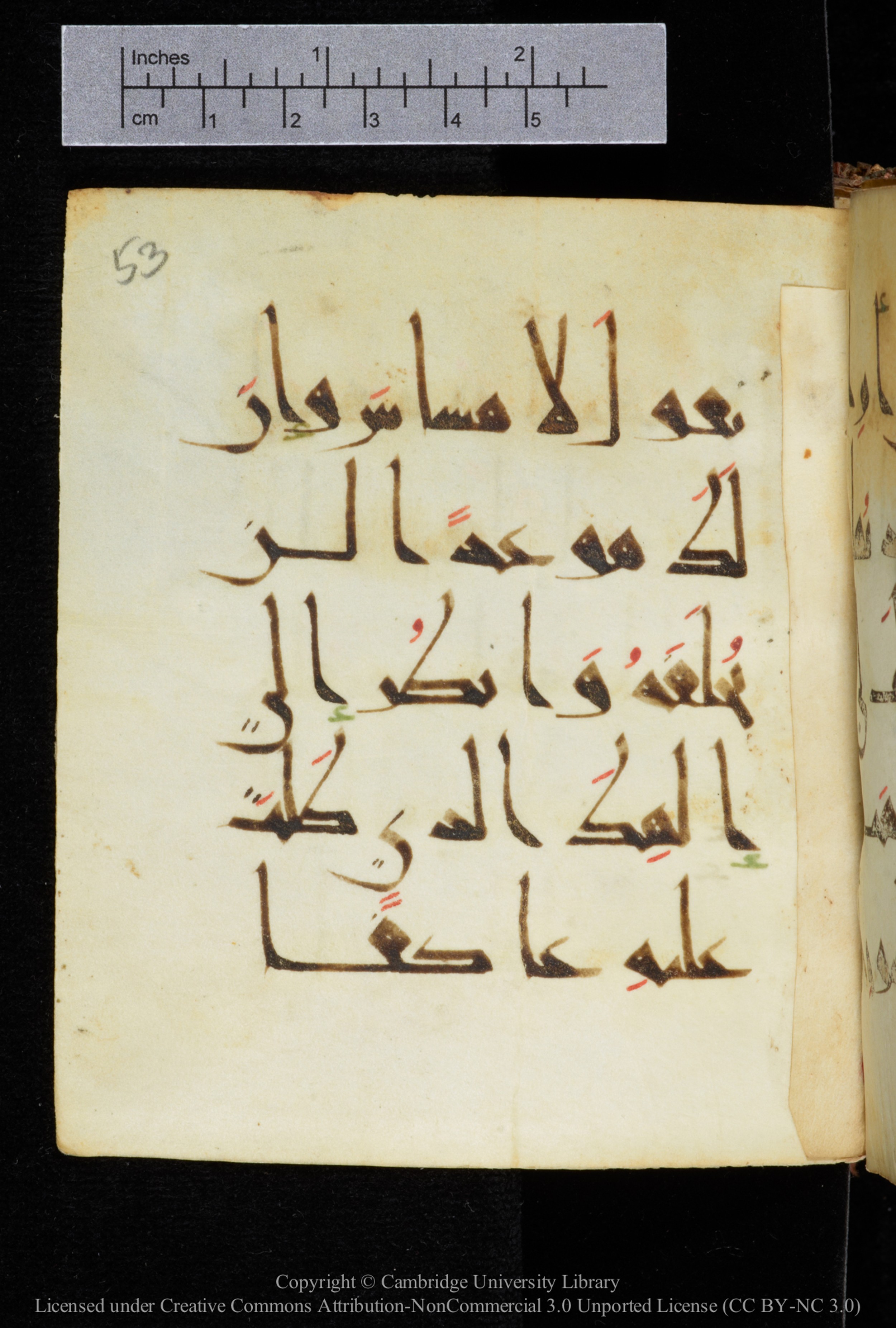 Cambridge, Cambridge University Library, MS Add.2964 (Scan 2), in New Style I script, showing Surah 20:97 from 10th to 11th Century AD found in Unknown, currently housed at Cambridge University Library, Cambridge