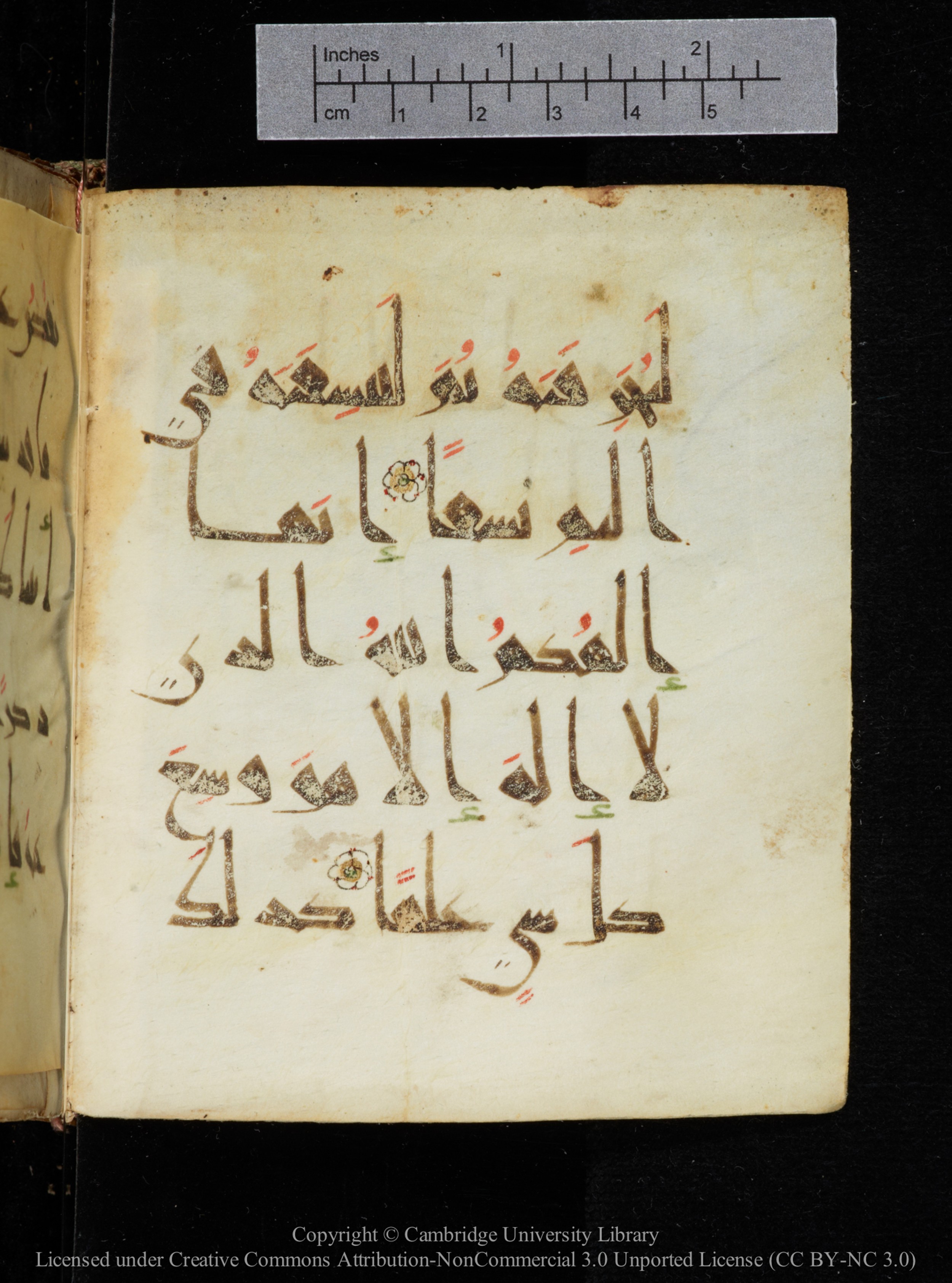 Cambridge, Cambridge University Library, MS Add.2964 (Scan 3), in New Style I script, showing Surah 20:97 from 10th to 11th Century AD found in Unknown, currently housed at Cambridge University Library, Cambridge