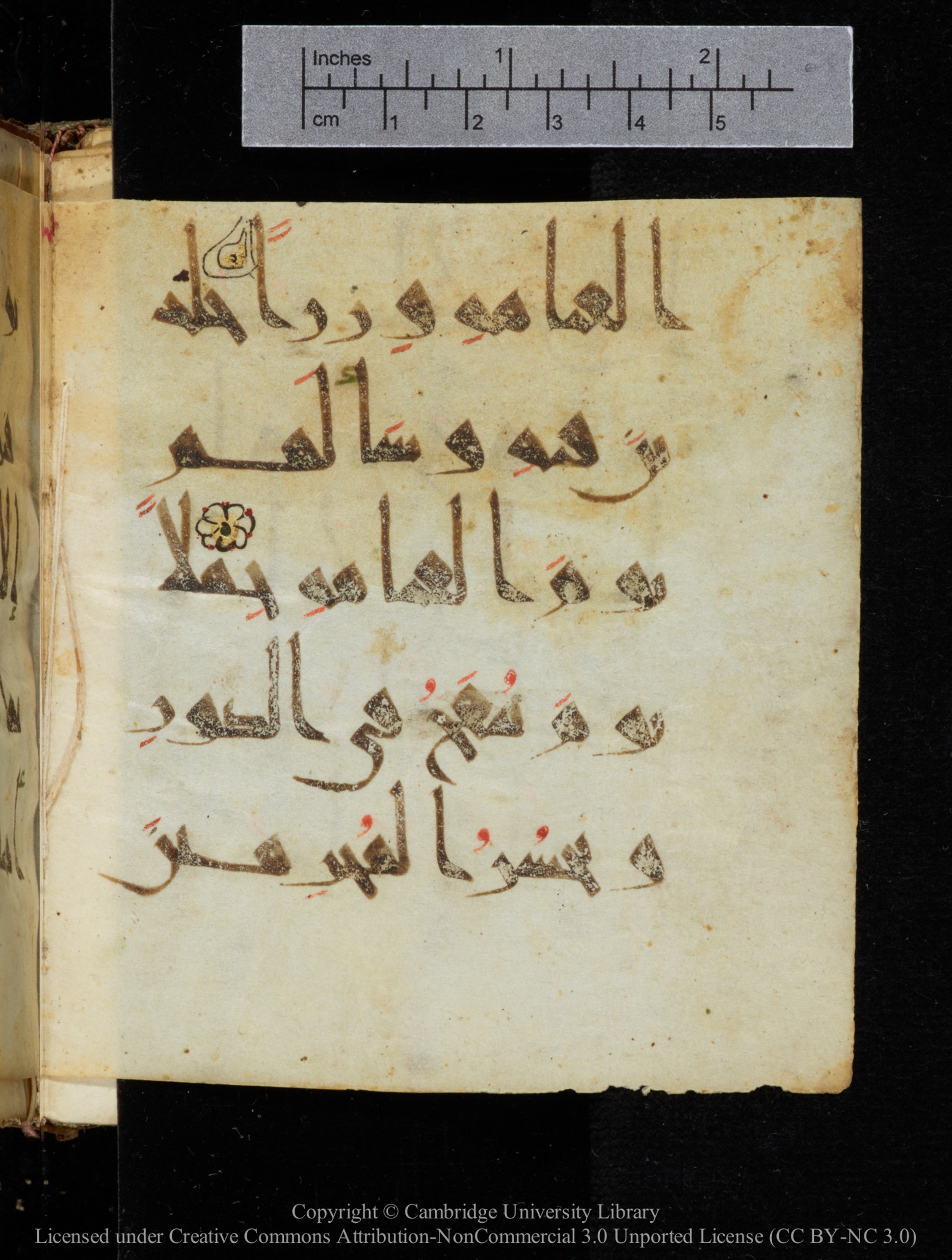 Cambridge, Cambridge University Library, MS Add.2964 (Scan 1), in New Style I script, showing Surah 20:102 from 10th to 11th Century AD found in Unknown, currently housed at Cambridge University Library, Cambridge