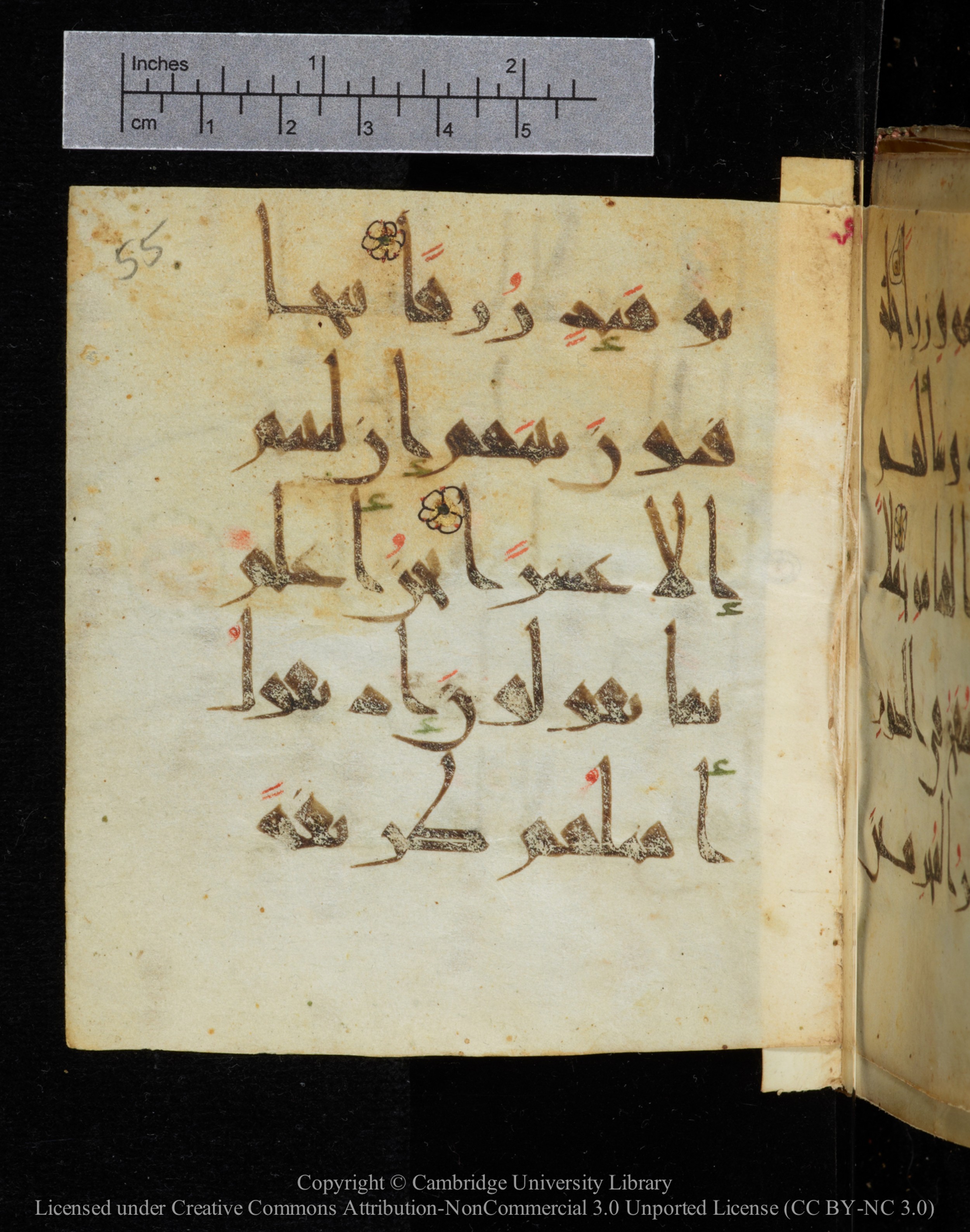 Cambridge, Cambridge University Library, MS Add.2964 (Scan 2), in New Style I script, showing Surah 20:102 from 10th to 11th Century AD found in Unknown, currently housed at Cambridge University Library, Cambridge