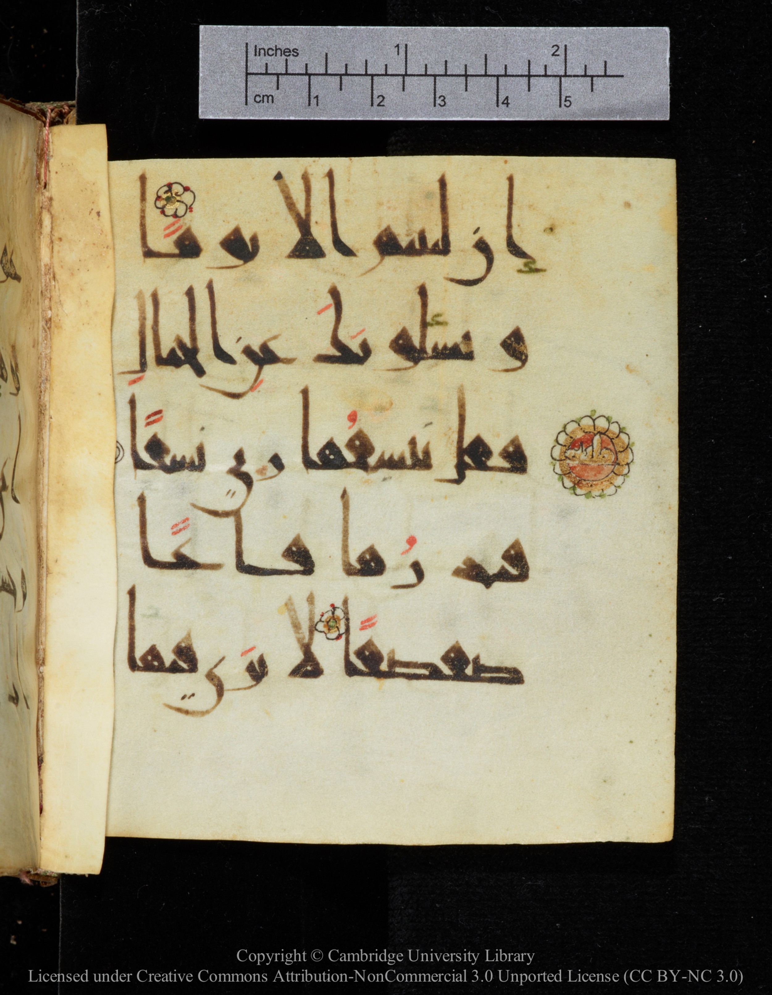 Cambridge, Cambridge University Library, MS Add.2964 (Scan 2), in New Style I script, showing Surah 20:104 from 10th to 11th Century AD found in Unknown, currently housed at Cambridge University Library, Cambridge