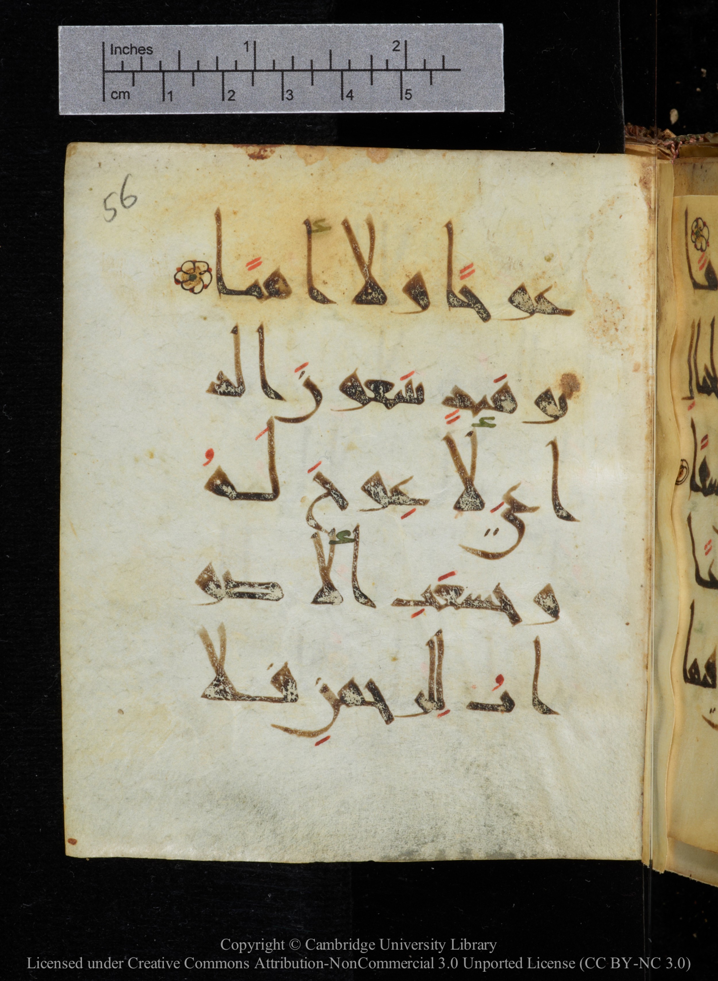Cambridge, Cambridge University Library, MS Add.2964 (Scan 2), in New Style I script, showing Surah 20:107 from 10th to 11th Century AD found in Unknown, currently housed at Cambridge University Library, Cambridge