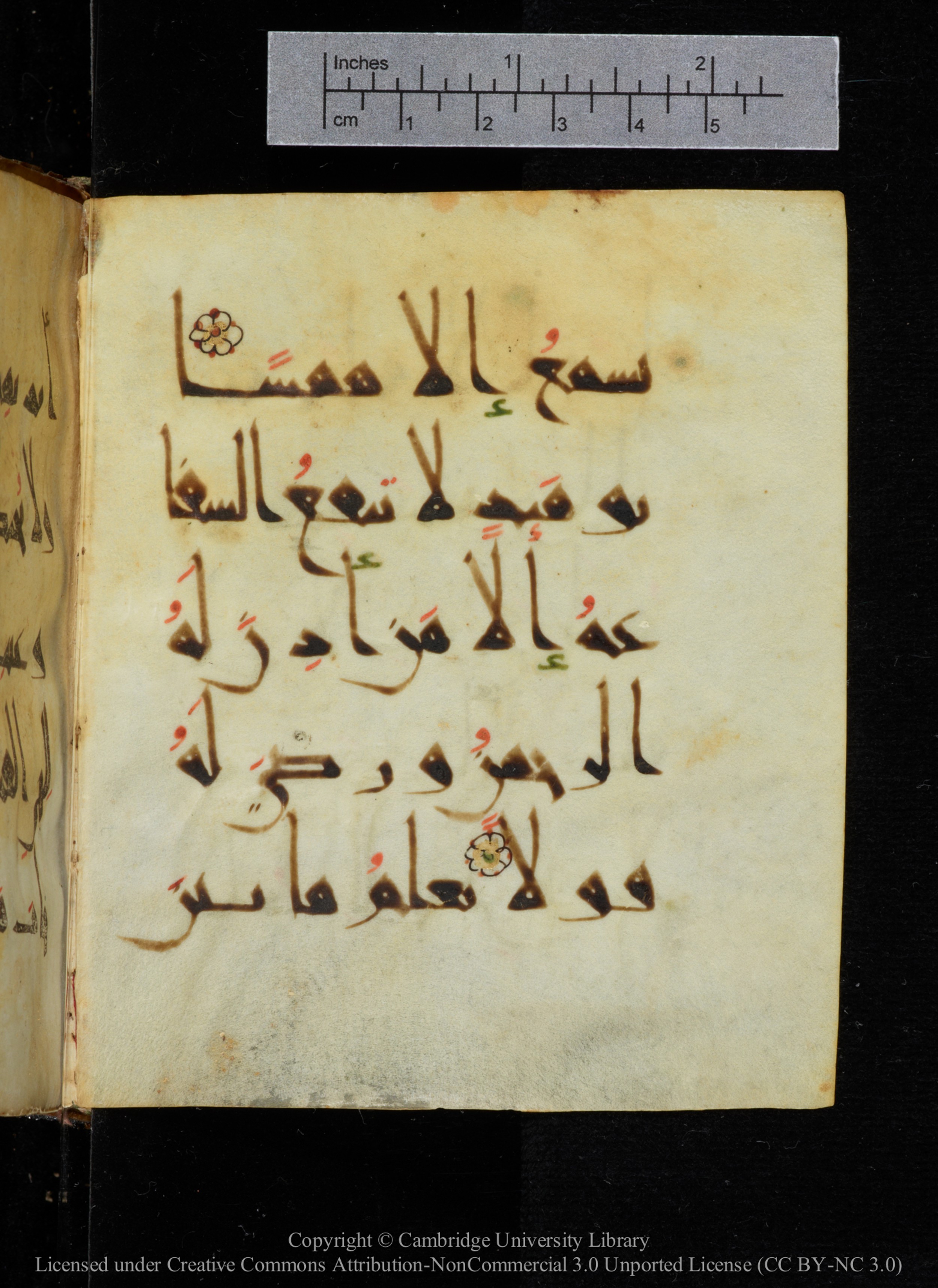 Cambridge, Cambridge University Library, MS Add.2964 (Scan 1), in New Style I script, showing Surah 20:110 from 10th to 11th Century AD found in Unknown, currently housed at Cambridge University Library, Cambridge
