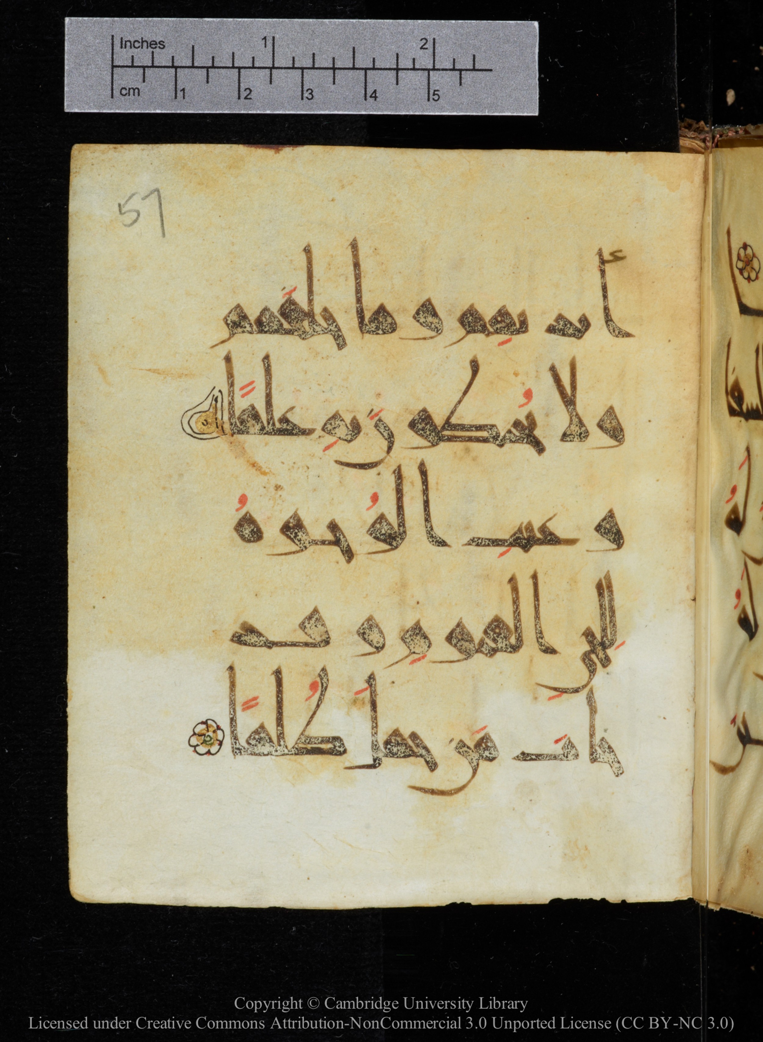 Cambridge, Cambridge University Library, MS Add.2964 (Scan 2), in New Style I script, showing Surah 20:110 from 10th to 11th Century AD found in Unknown, currently housed at Cambridge University Library, Cambridge