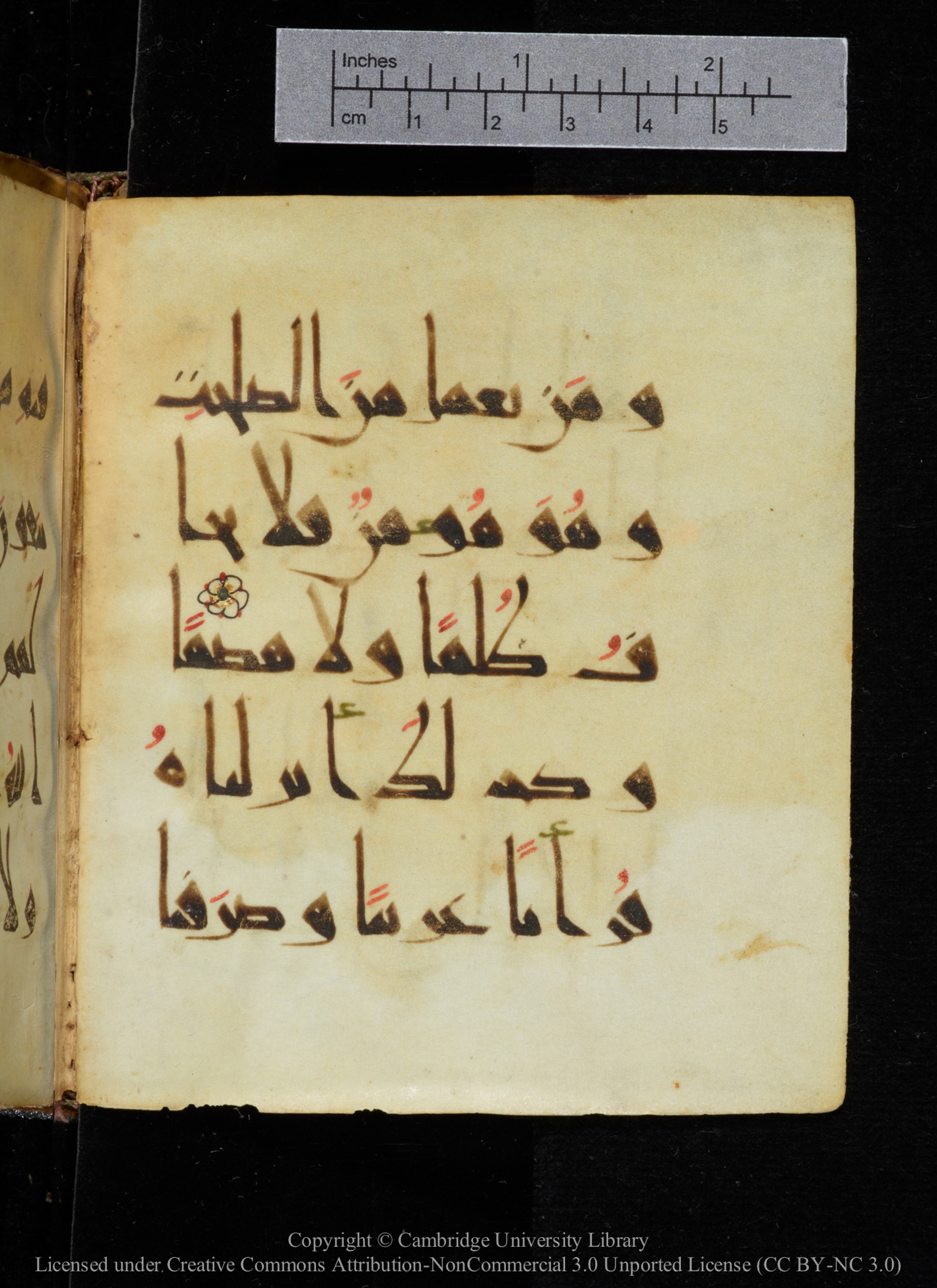 Cambridge, Cambridge University Library, MS Add.2964 (Scan 1), in New Style I script, showing Surah 20:113 from 10th to 11th Century AD found in Unknown, currently housed at Cambridge University Library, Cambridge
