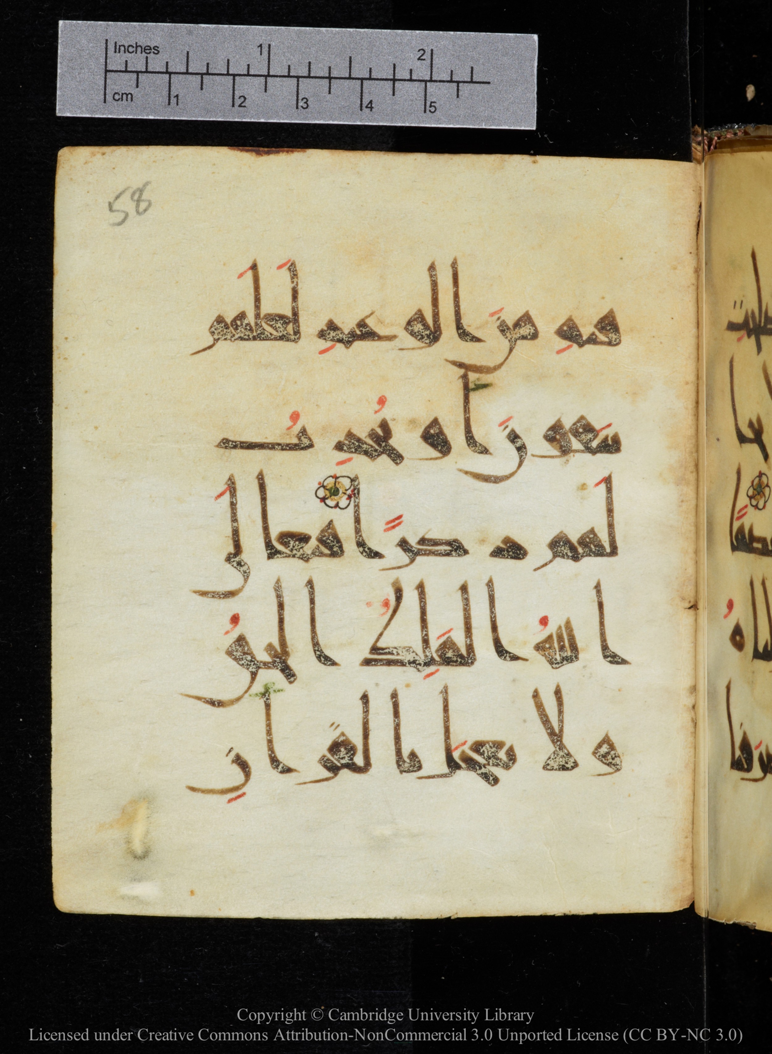 Cambridge, Cambridge University Library, MS Add.2964 (Scan 2), in New Style I script, showing Surah 20:113 from 10th to 11th Century AD found in Unknown, currently housed at Cambridge University Library, Cambridge