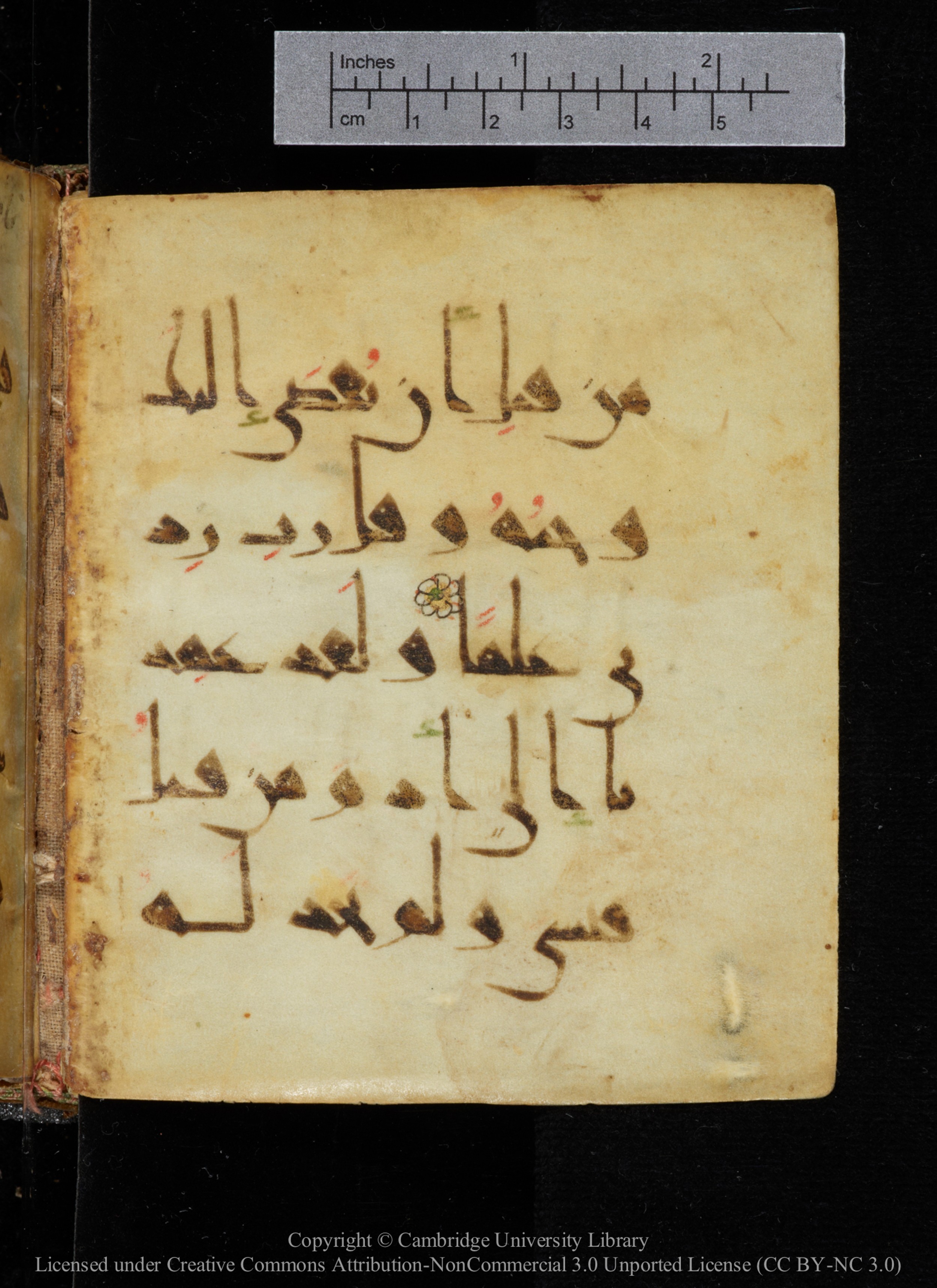 Cambridge, Cambridge University Library, MS Add.2964 (Scan 1), in New Style I script, showing Surah 20:115 from 10th to 11th Century AD found in Unknown, currently housed at Cambridge University Library, Cambridge