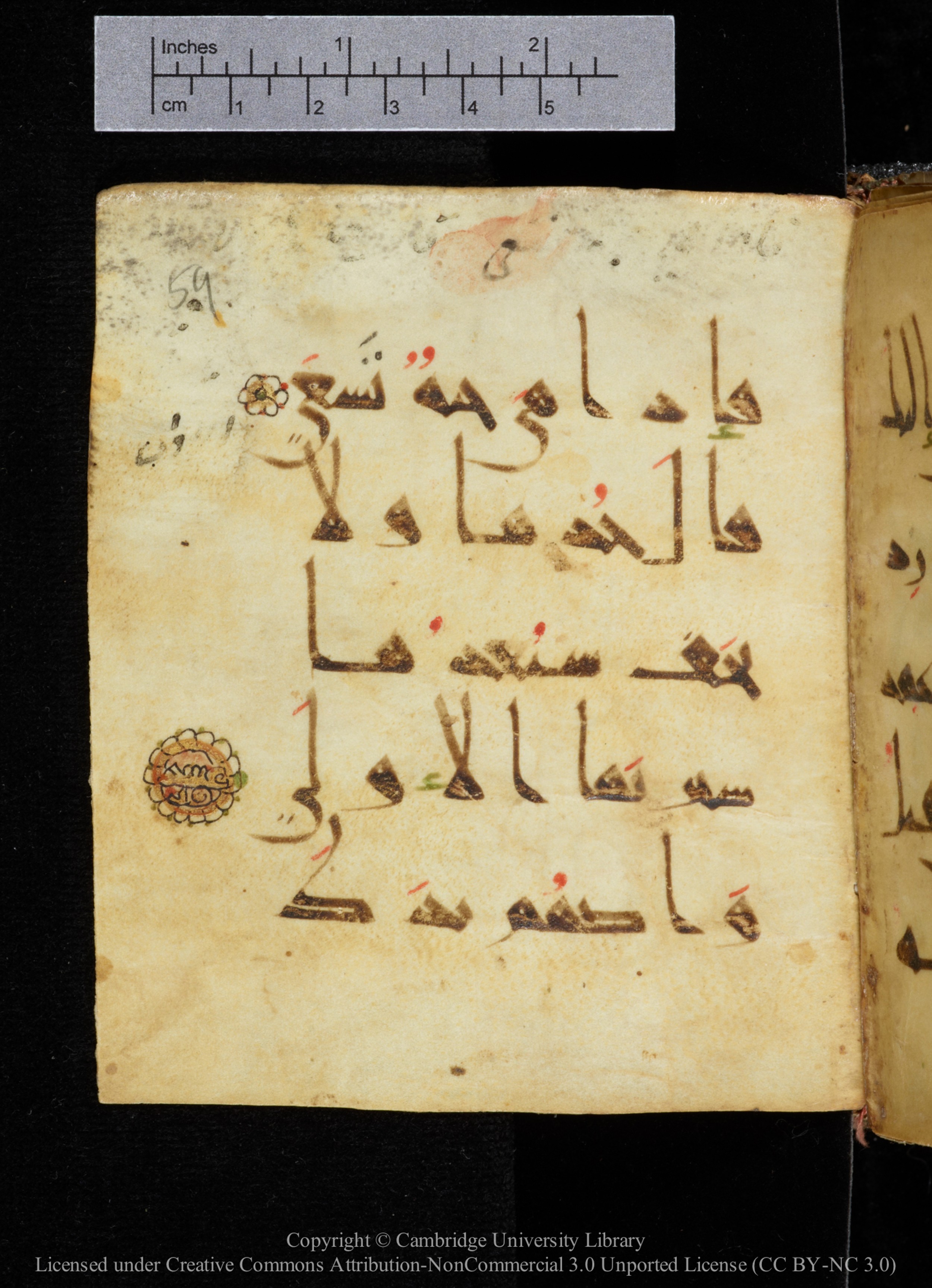 Cambridge, Cambridge University Library, MS Add.2964, in New Style I script, showing Surah 20:21 from 10th to 11th Century AD found in Unknown, currently housed at Cambridge University Library, Cambridge