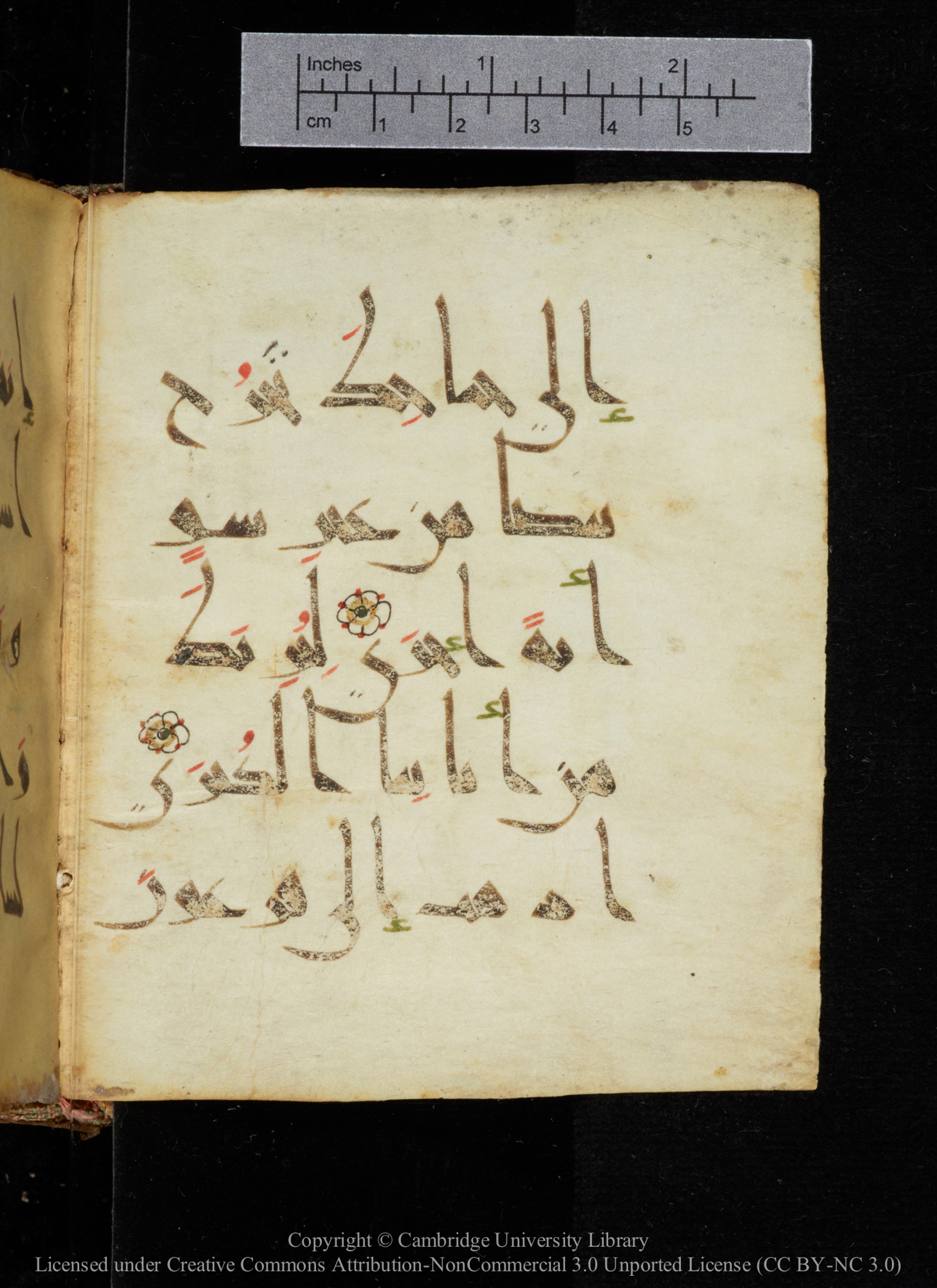 Cambridge, Cambridge University Library, MS Add.2964, in New Style I script, showing Surah 20:23 from 10th to 11th Century AD found in Unknown, currently housed at Cambridge University Library, Cambridge