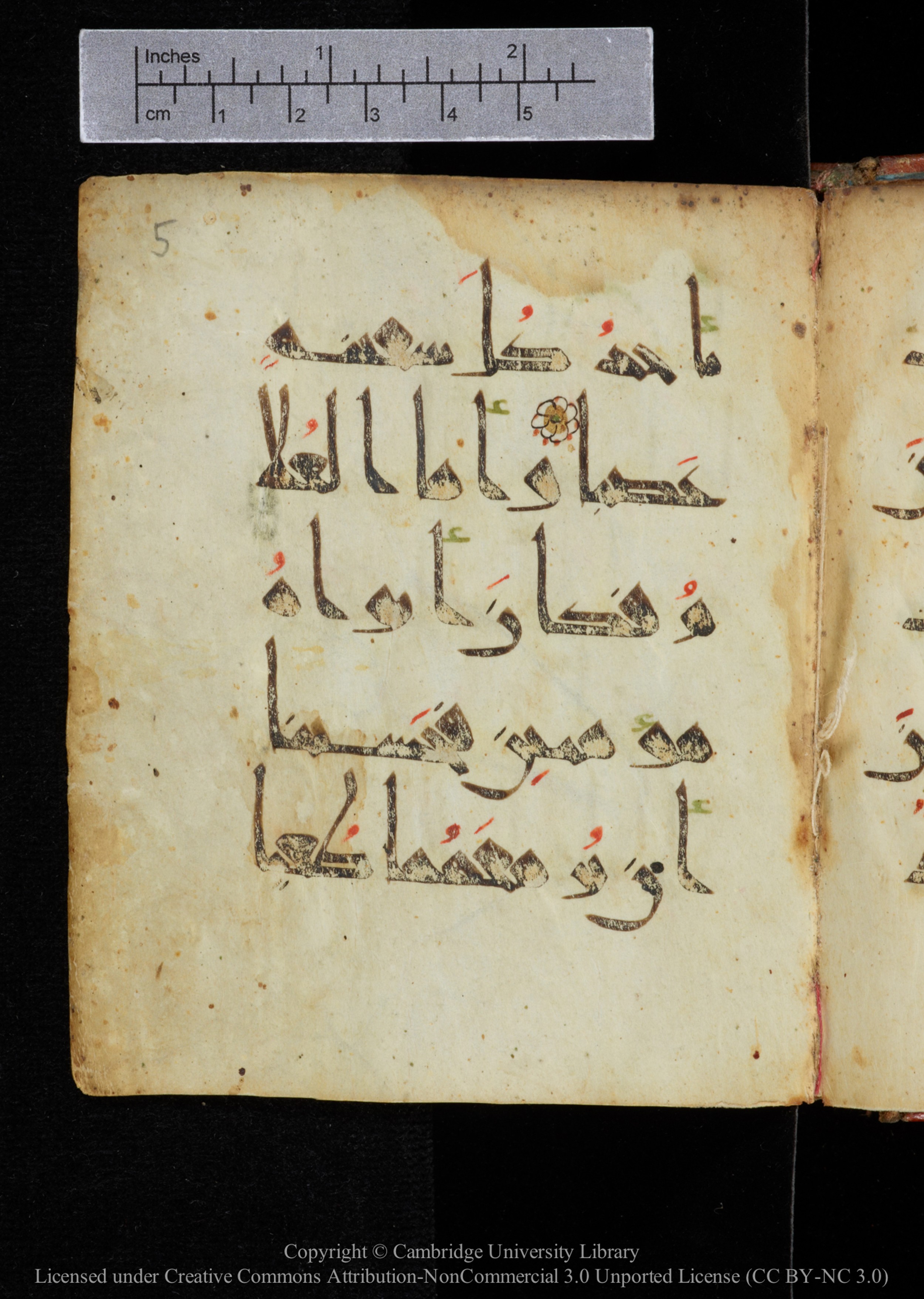 Cambridge, Cambridge University Library, MS Add.2964 (Scan 3), in New Style I script, showing Surah 18:79 from 10th to 11th Century AD found in Unknown, currently housed at Cambridge University Library, Cambridge