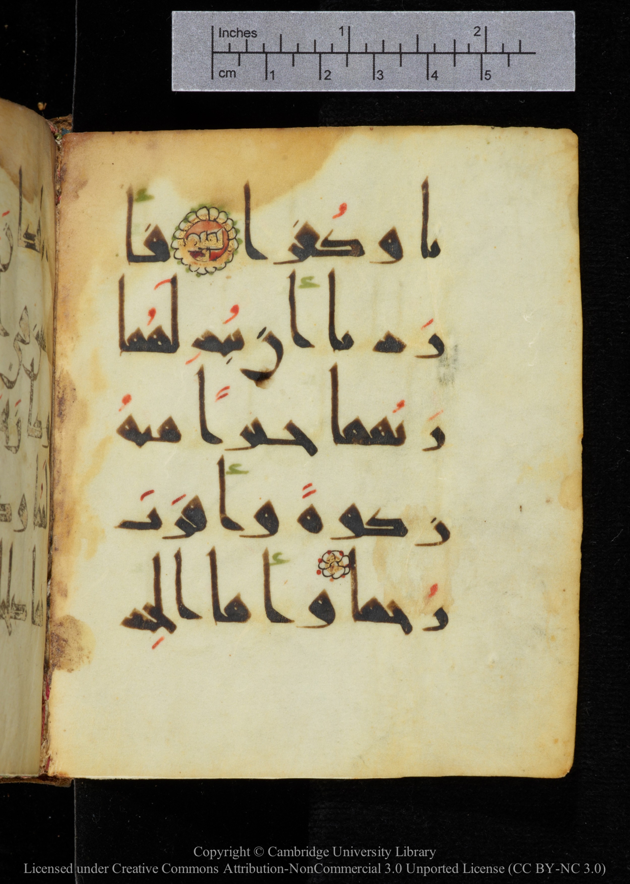 Cambridge, Cambridge University Library, MS Add.2964 (Scan 1), in New Style I script, showing Surah 18:82 from 10th to 11th Century AD found in Unknown, currently housed at Cambridge University Library, Cambridge