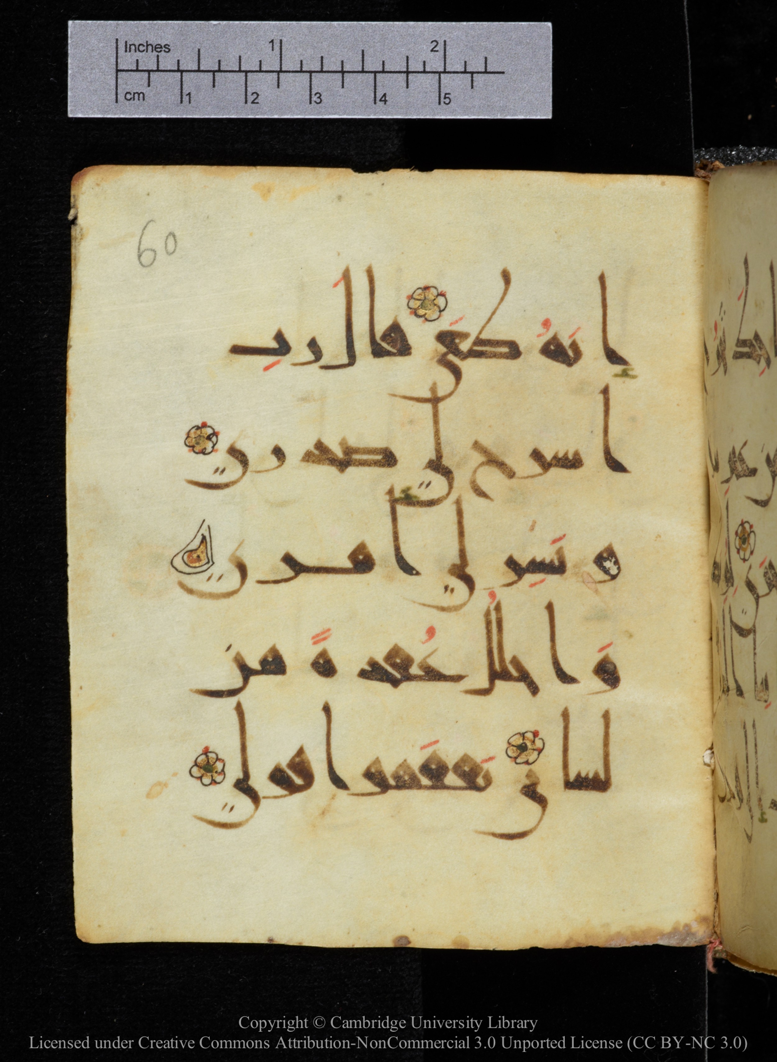 Cambridge, Cambridge University Library, MS Add.2964, in New Style I script, showing Surah 20:28 from 10th to 11th Century AD found in Unknown, currently housed at Cambridge University Library, Cambridge