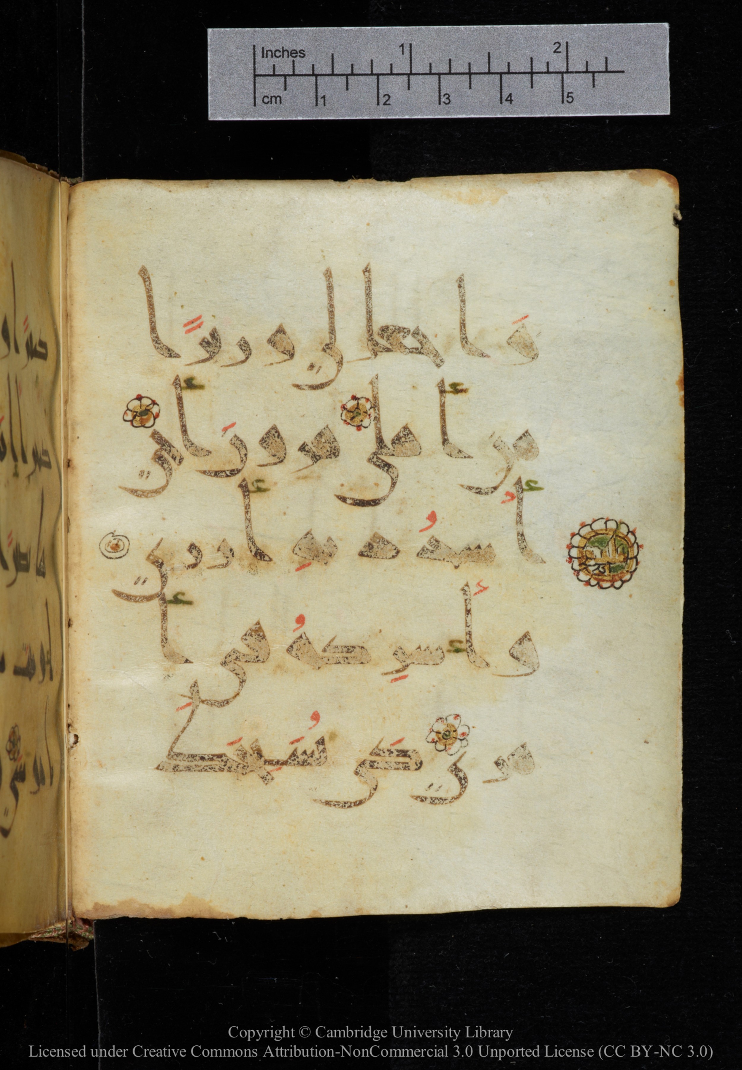 Cambridge, Cambridge University Library, MS Add.2964, in New Style I script, showing Surah 20:32 from 10th to 11th Century AD found in Unknown, currently housed at Cambridge University Library, Cambridge