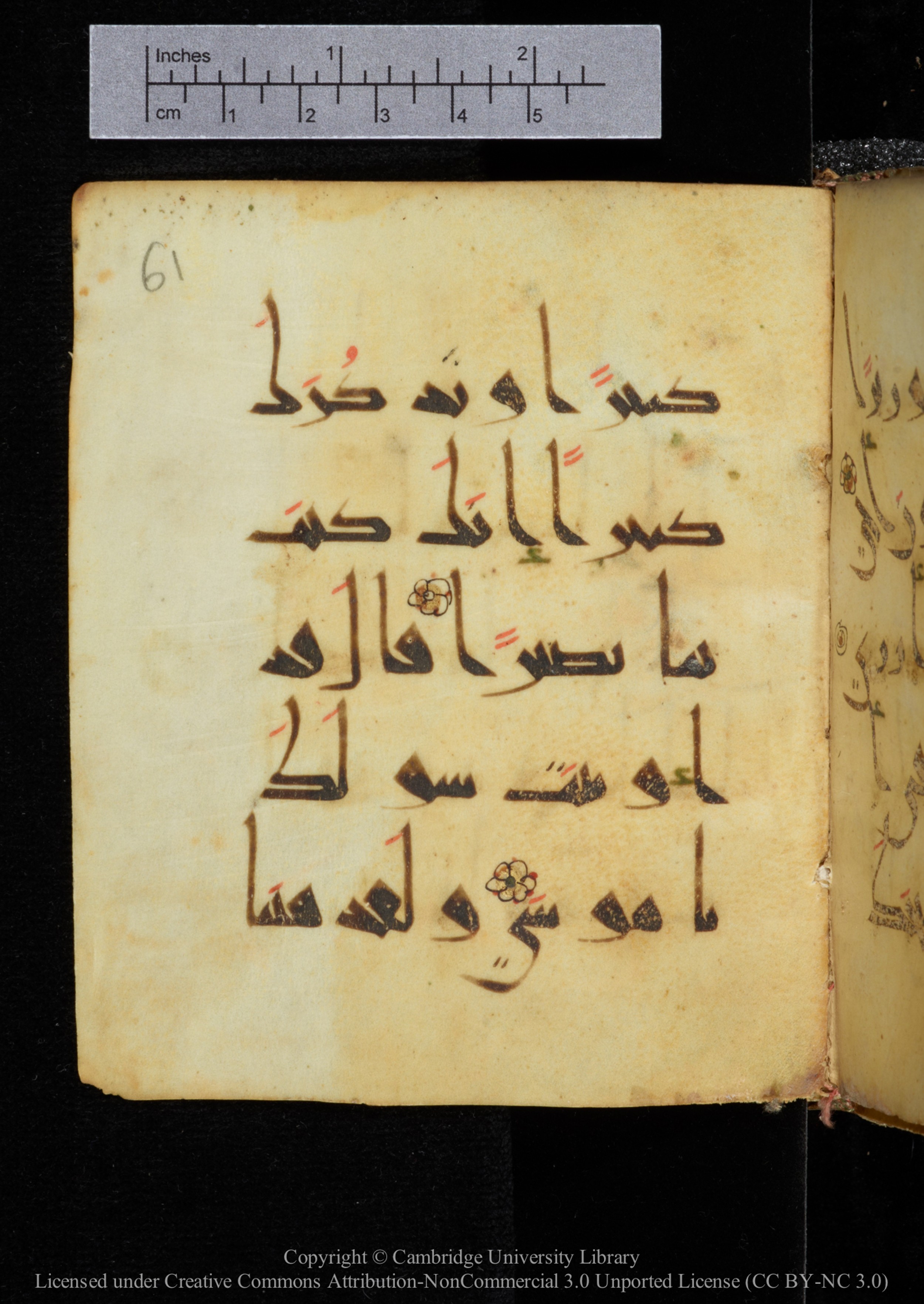 Cambridge, Cambridge University Library, MS Add.2964 (Scan 2), in New Style I script, showing Surah 20:33 from 10th to 11th Century AD found in Unknown, currently housed at Cambridge University Library, Cambridge