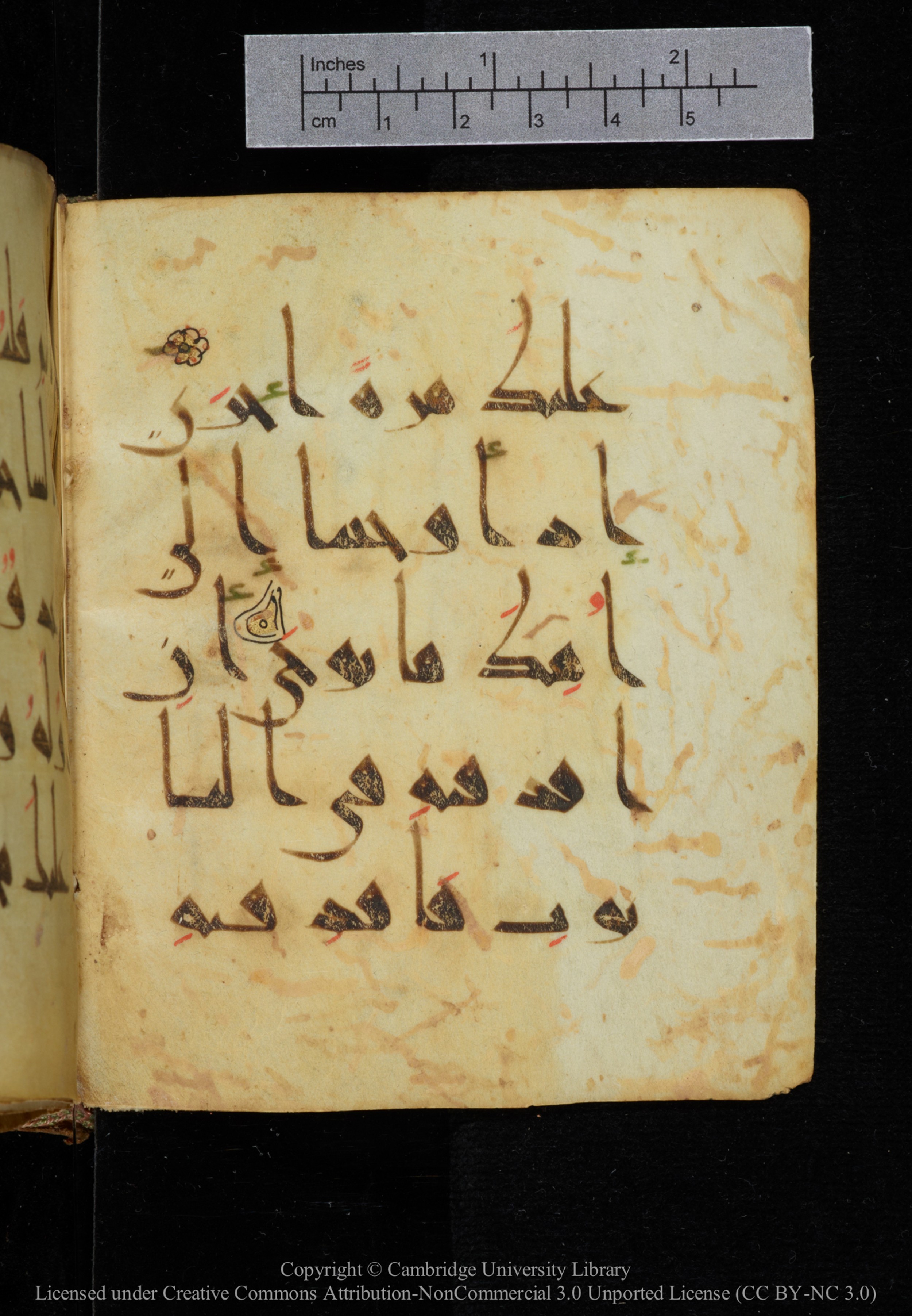 Cambridge, Cambridge University Library, MS Add.2964 (Scan 1), in New Style I script, showing Surah 20:39 from 10th to 11th Century AD found in Unknown, currently housed at Cambridge University Library, Cambridge