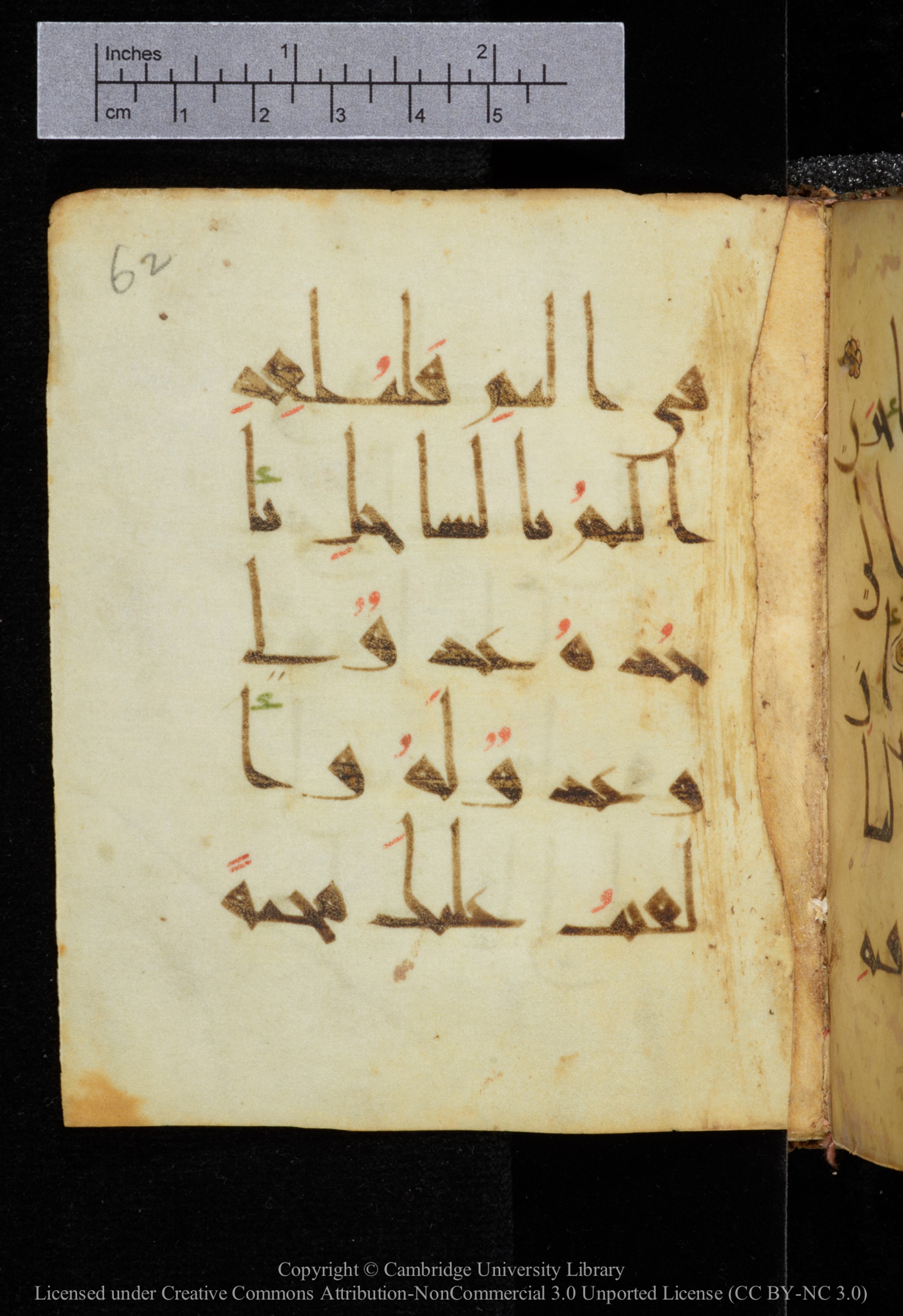 Cambridge, Cambridge University Library, MS Add.2964 (Scan 2), in New Style I script, showing Surah 20:39 from 10th to 11th Century AD found in Unknown, currently housed at Cambridge University Library, Cambridge