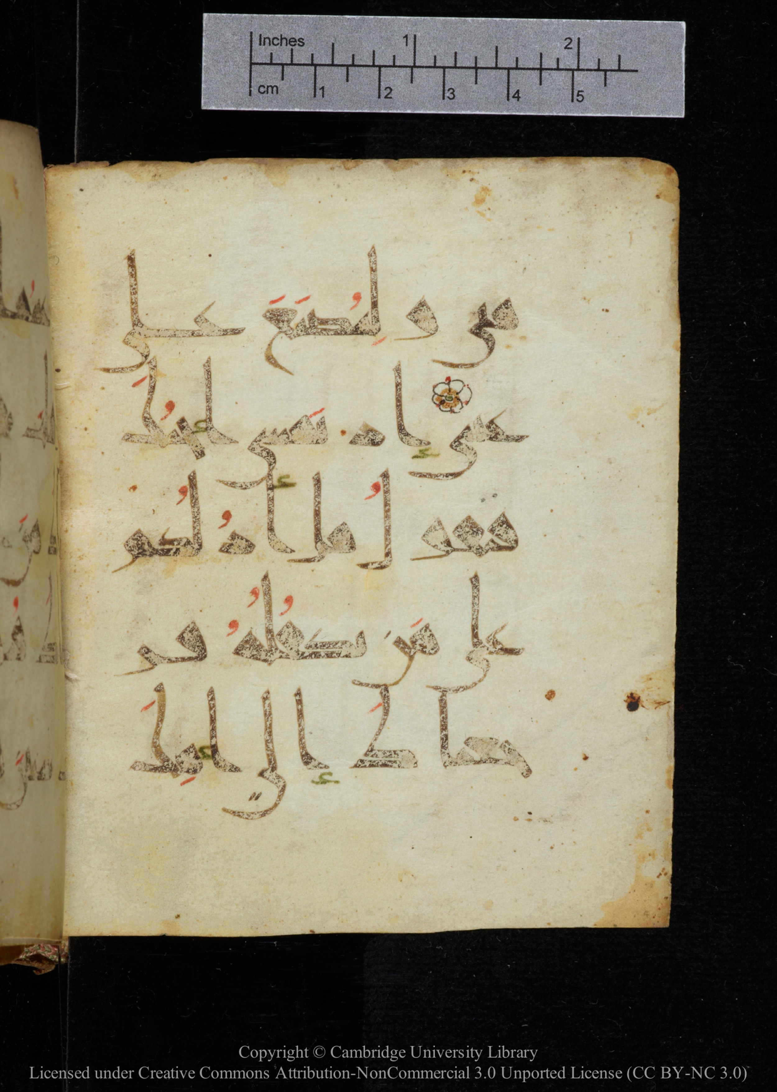 Cambridge, Cambridge University Library, MS Add.2964 (Scan 3), in New Style I script, showing Surah 20:39 from 10th to 11th Century AD found in Unknown, currently housed at Cambridge University Library, Cambridge