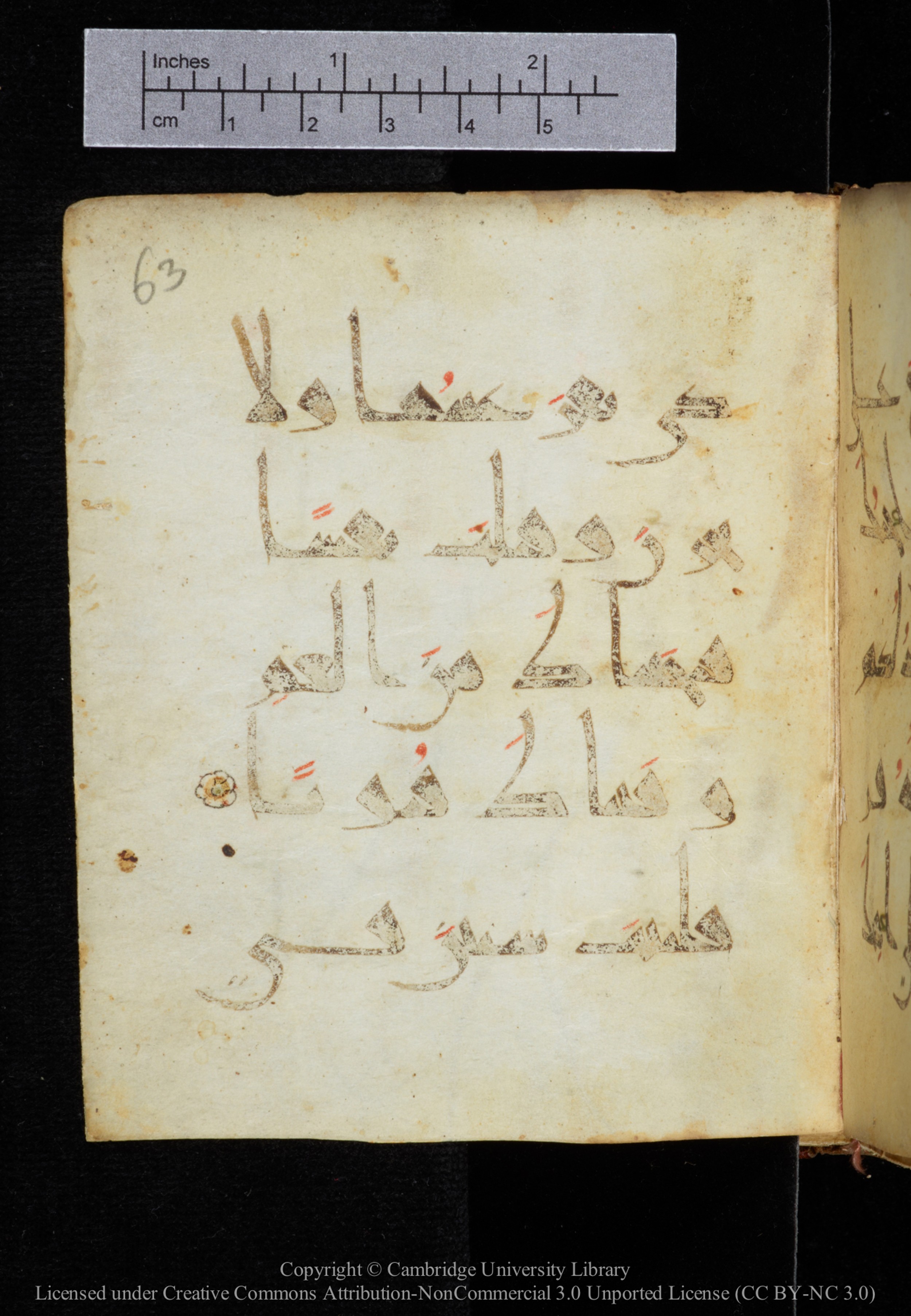 Cambridge, Cambridge University Library, MS Add.2964 (Scan 2), in New Style I script, showing Surah 20:40 from 10th to 11th Century AD found in Unknown, currently housed at Cambridge University Library, Cambridge