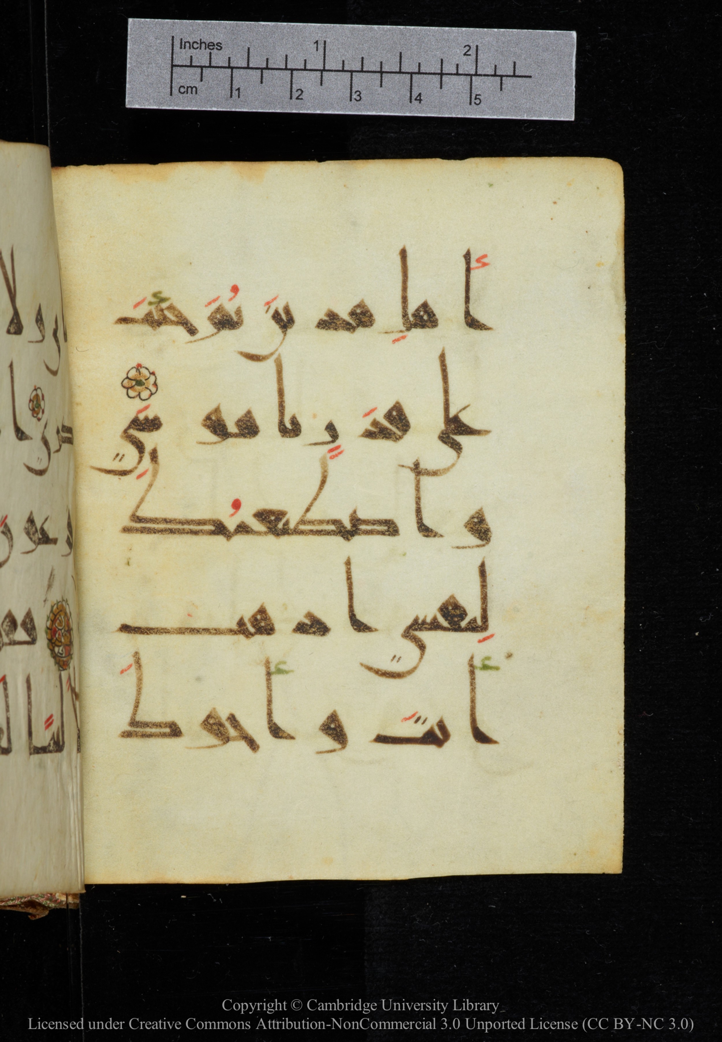 Cambridge, Cambridge University Library, MS Add.2964 (Scan 3), in New Style I script, showing Surah 20:40 from 10th to 11th Century AD found in Unknown, currently housed at Cambridge University Library, Cambridge