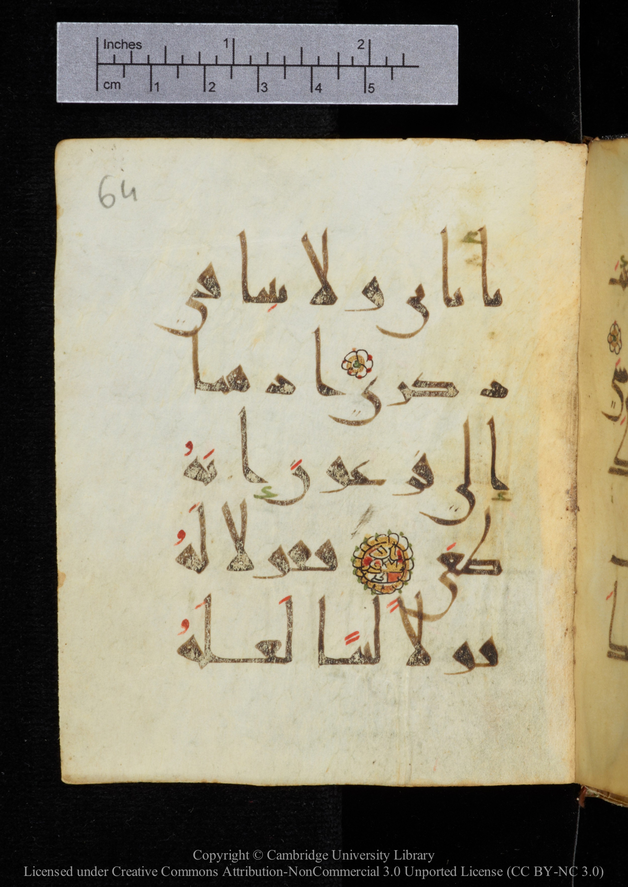 Cambridge, Cambridge University Library, MS Add.2964, in New Style I script, showing Surah 20:43 from 10th to 11th Century AD found in Unknown, currently housed at Cambridge University Library, Cambridge