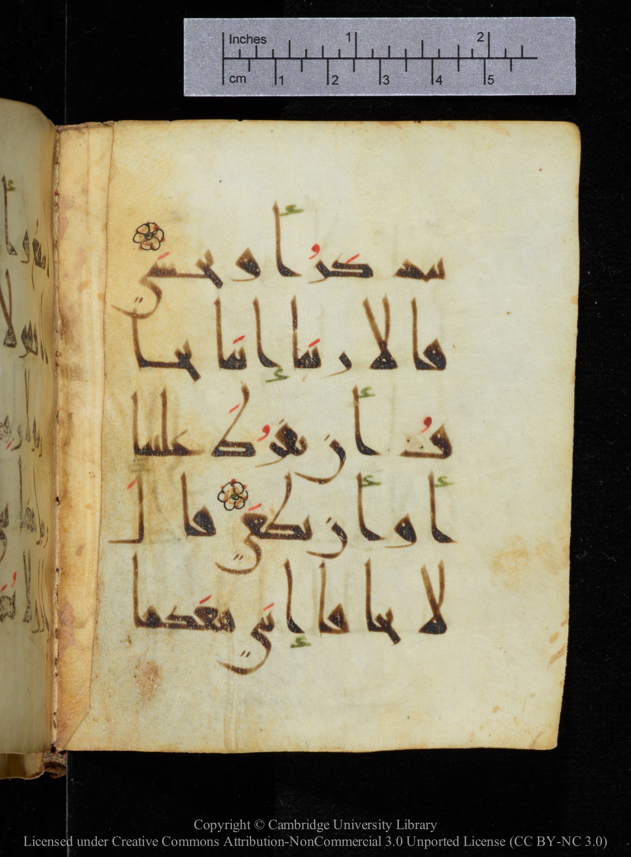 Cambridge, Cambridge University Library, MS Add.2964, in New Style I script, showing Surah 20:45 from 10th to 11th Century AD found in Unknown, currently housed at Cambridge University Library, Cambridge