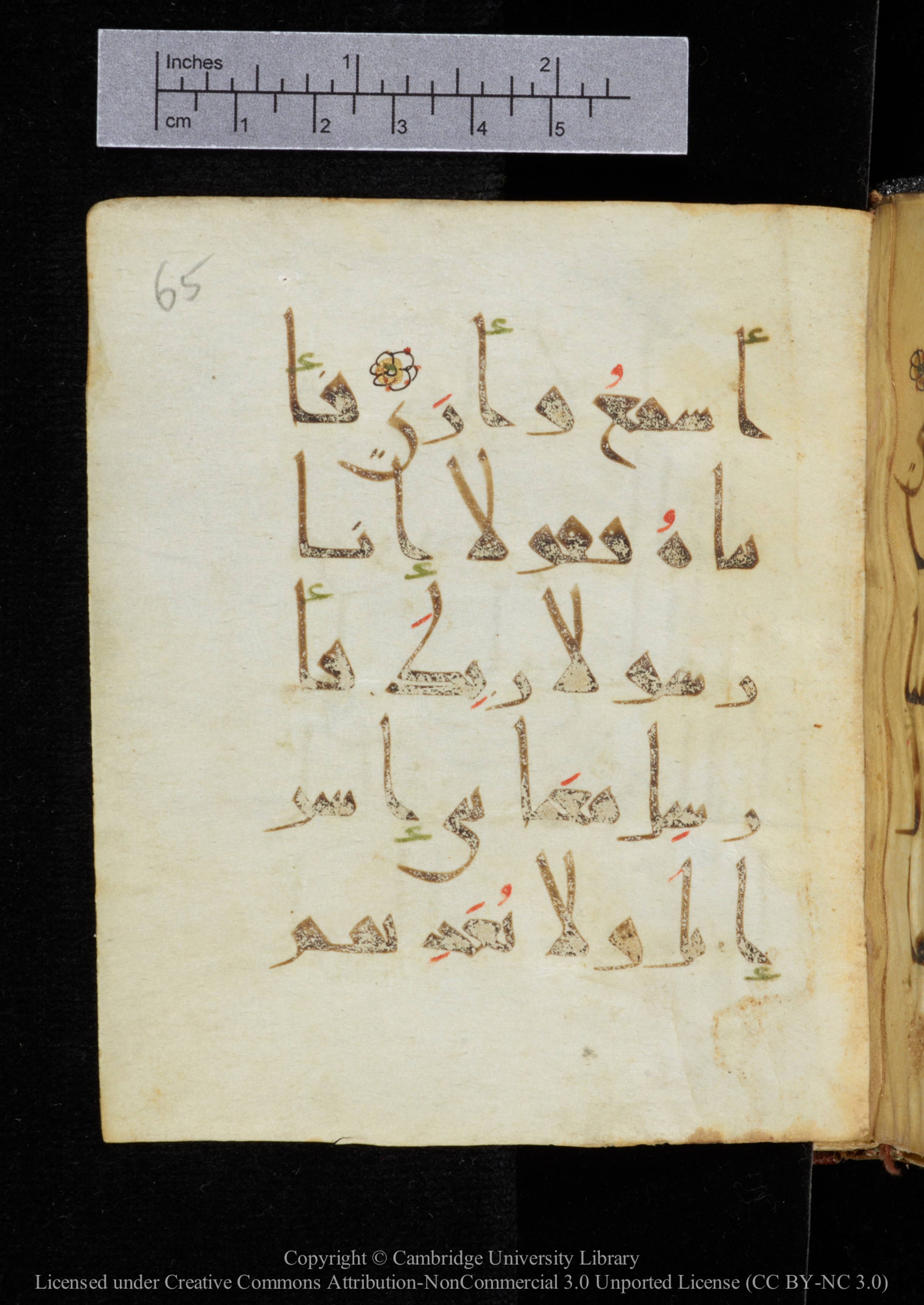 Cambridge, Cambridge University Library, MS Add.2964 (Scan 2), in New Style I script, showing Surah 20:46 from 10th to 11th Century AD found in Unknown, currently housed at Cambridge University Library, Cambridge