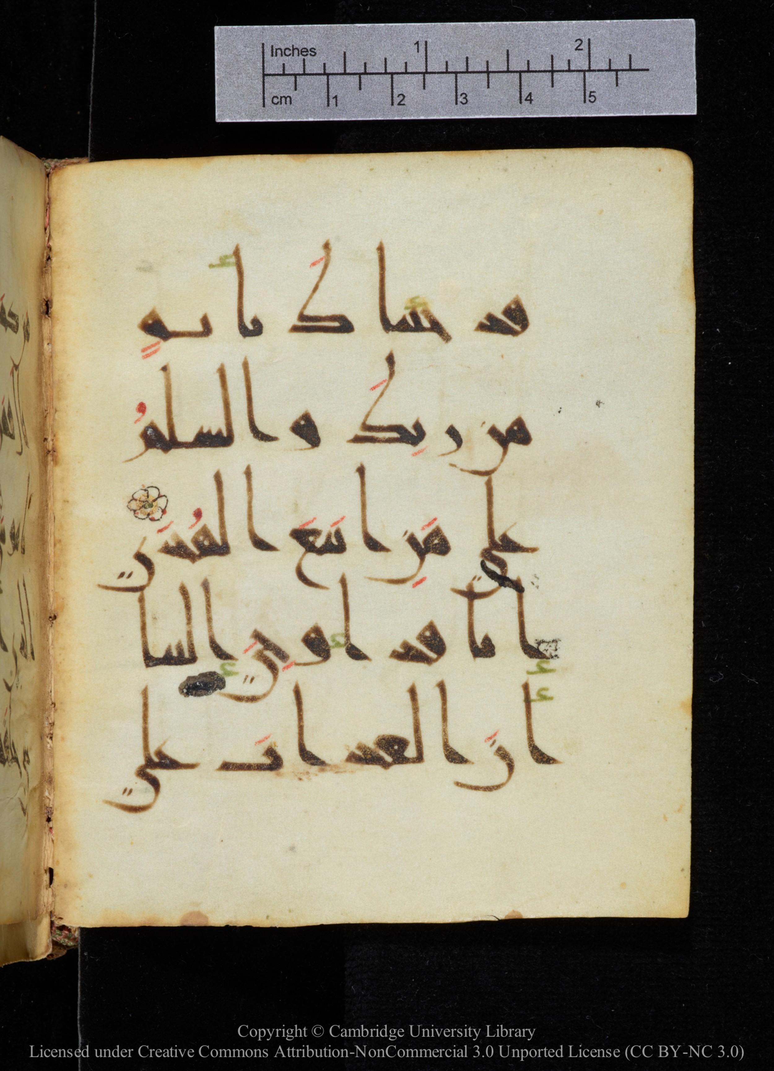 Cambridge, Cambridge University Library, MS Add.2964 (Scan 1), in New Style I script, showing Surah 20:48 from 10th to 11th Century AD found in Unknown, currently housed at Cambridge University Library, Cambridge