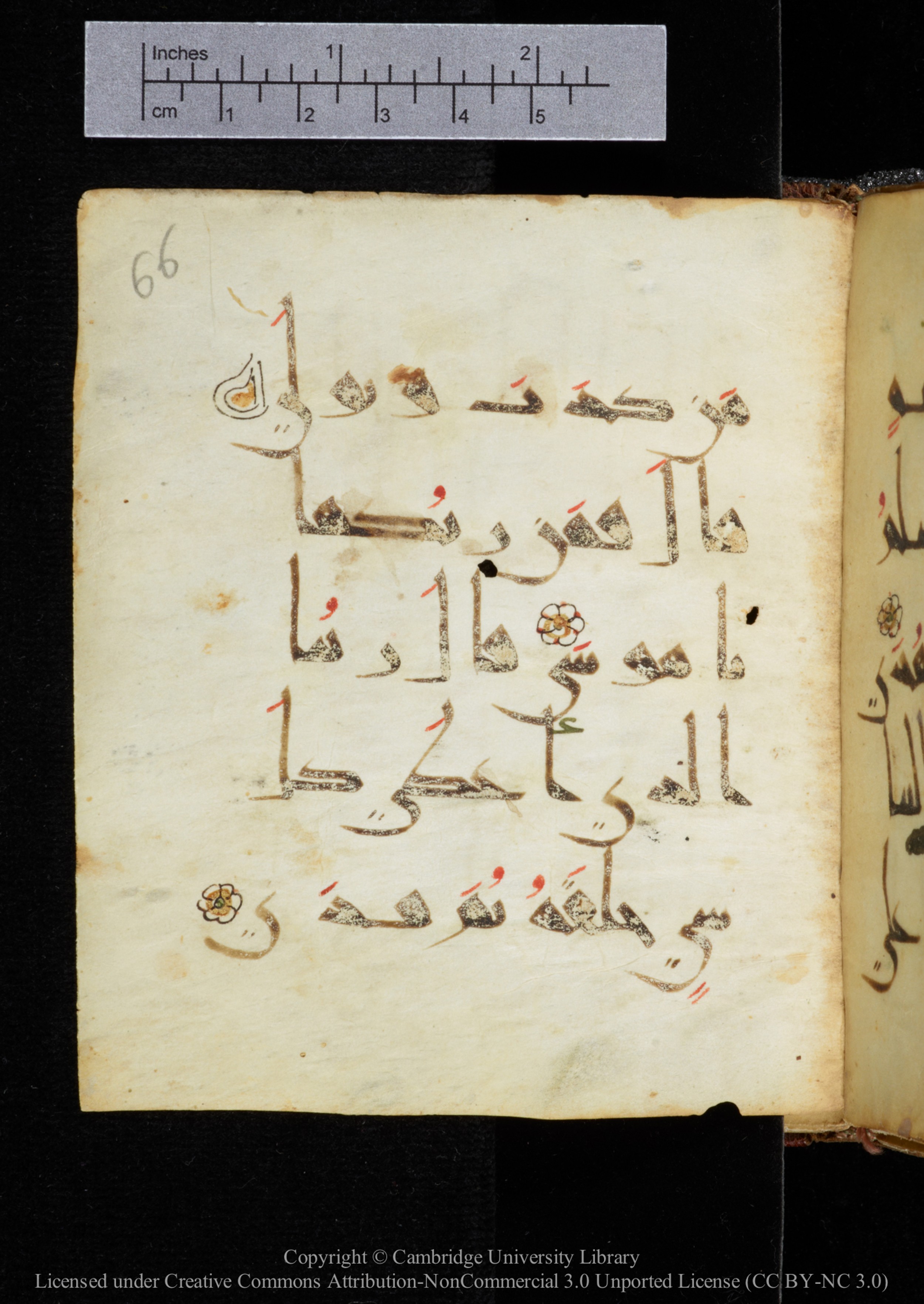 Cambridge, Cambridge University Library, MS Add.2964, in New Style I script, showing Surah 20:49 from 10th to 11th Century AD found in Unknown, currently housed at Cambridge University Library, Cambridge
