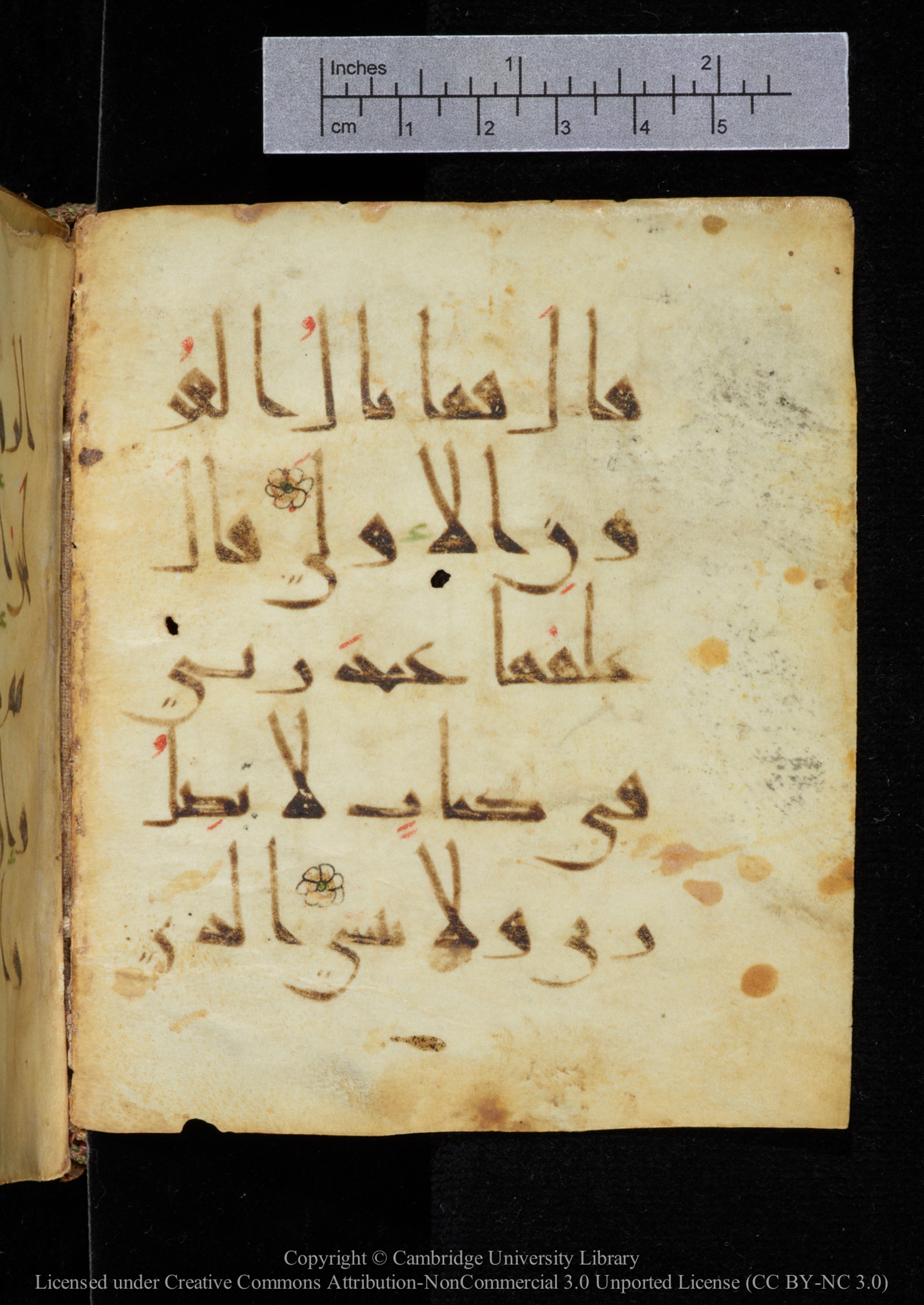 Cambridge, Cambridge University Library, MS Add.2964, in New Style I script, showing Surah 20:52 from 10th to 11th Century AD found in Unknown, currently housed at Cambridge University Library, Cambridge
