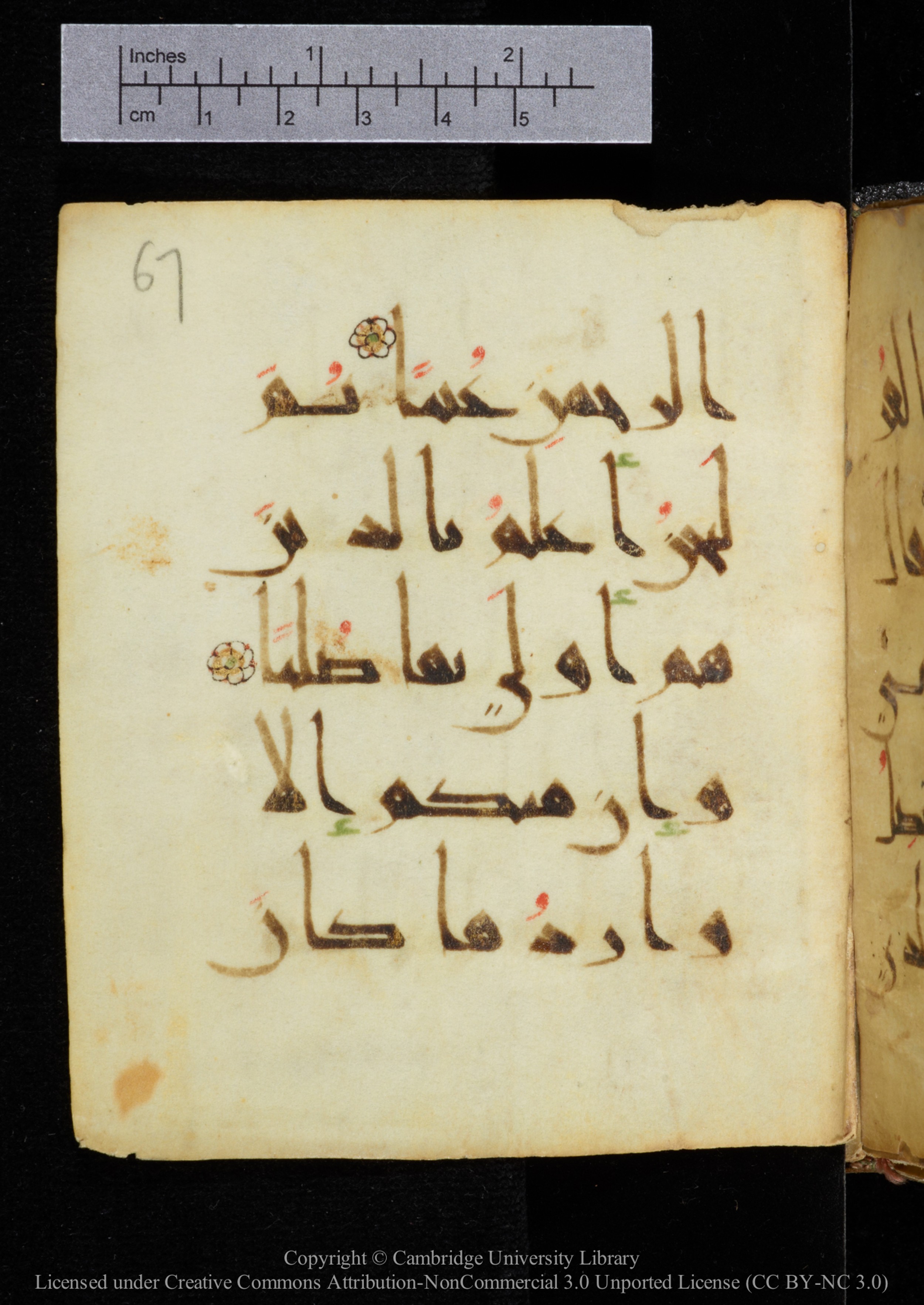 Cambridge, Cambridge University Library, MS Add.2964, in New Style I script, showing Surah 19:70 from 10th to 11th Century AD found in Unknown, currently housed at Cambridge University Library, Cambridge