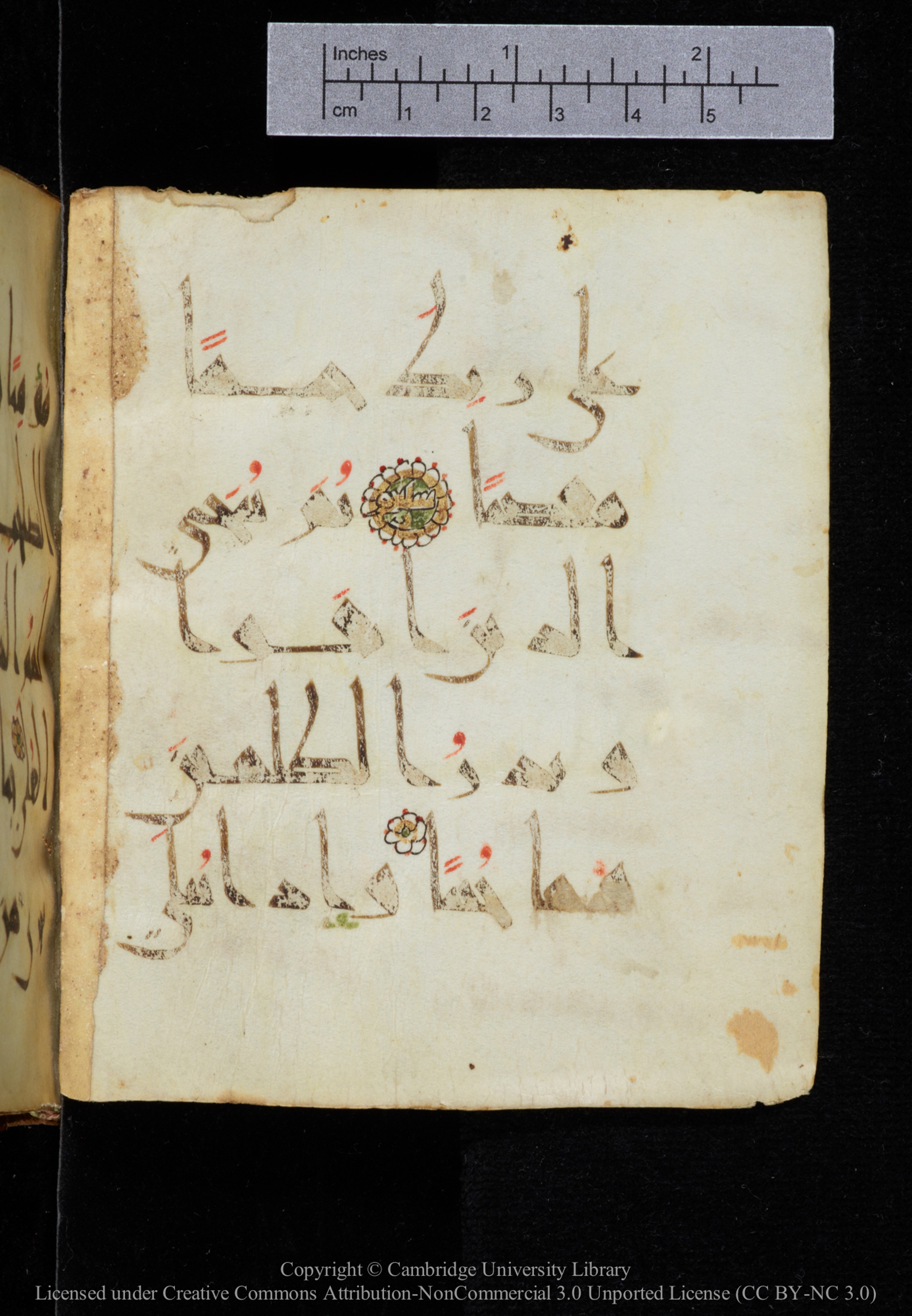 Cambridge, Cambridge University Library, MS Add.2964, in New Style I script, showing Surah 19:72 from 10th to 11th Century AD found in Unknown, currently housed at Cambridge University Library, Cambridge