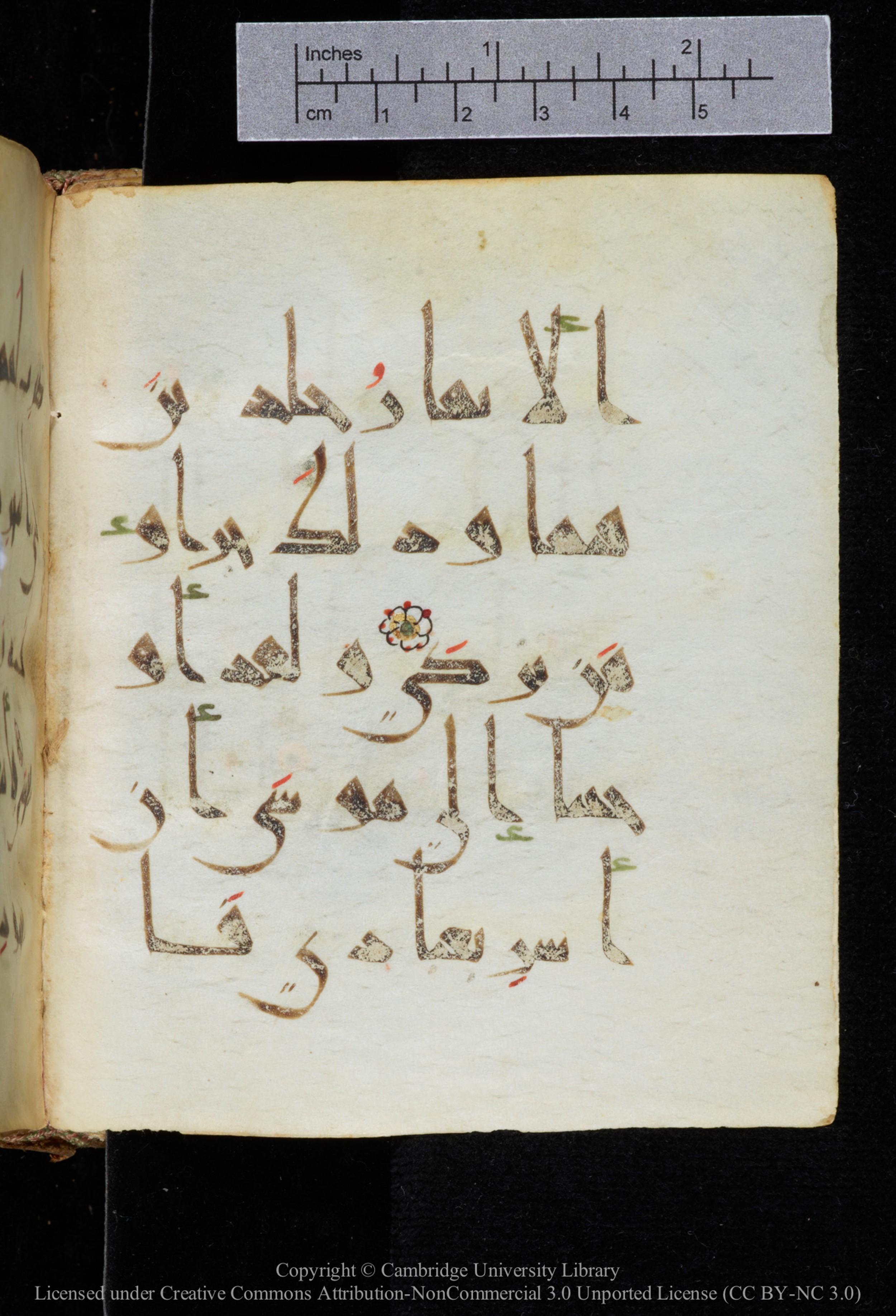 Cambridge, Cambridge University Library, MS Add.2964 (Scan 2), in New Style I script, showing Surah 20:76 from 10th to 11th Century AD found in Unknown, currently housed at Cambridge University Library, Cambridge