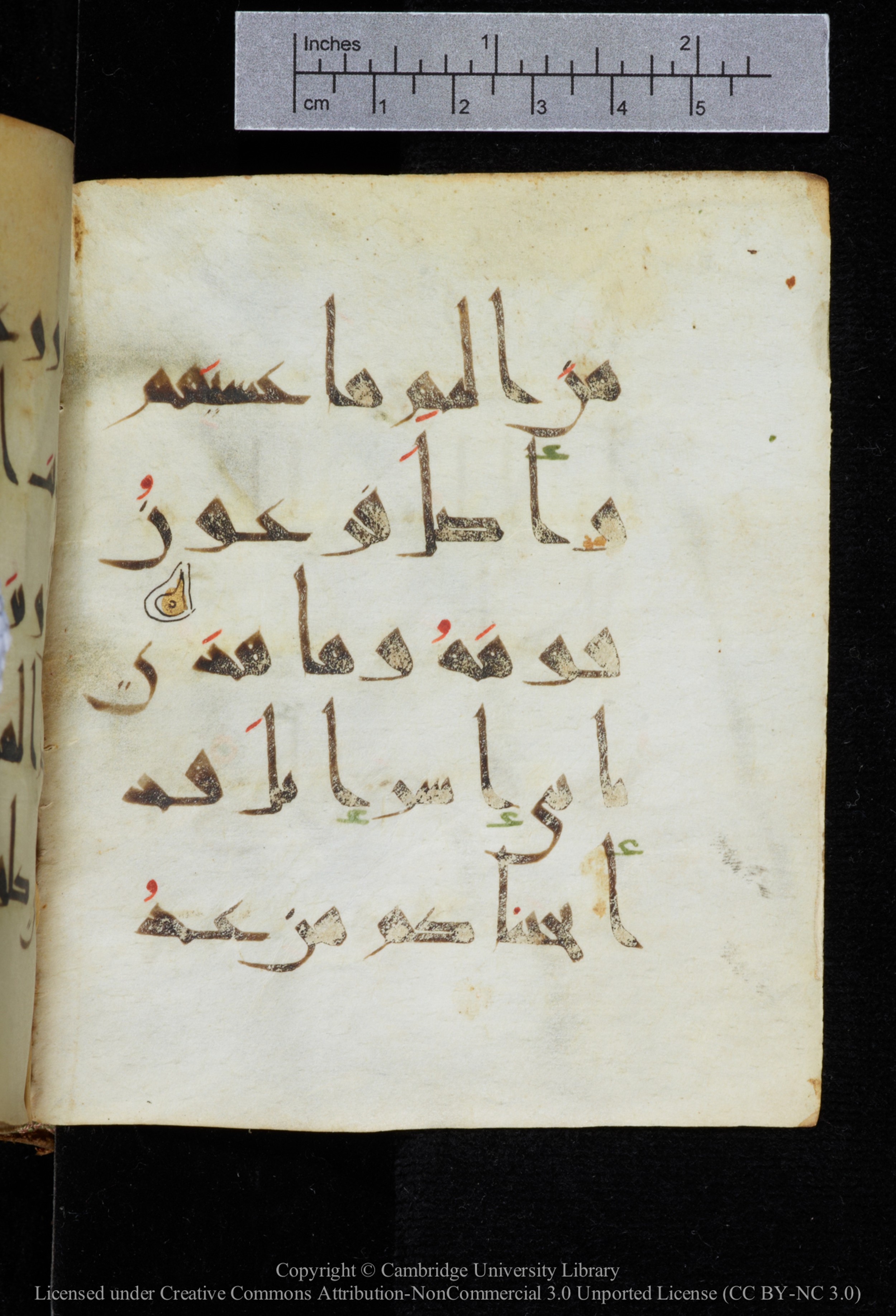 Cambridge, Cambridge University Library, MS Add.2964, in New Style I script, showing Surah 20:79 from 10th to 11th Century AD found in Unknown, currently housed at Cambridge University Library, Cambridge