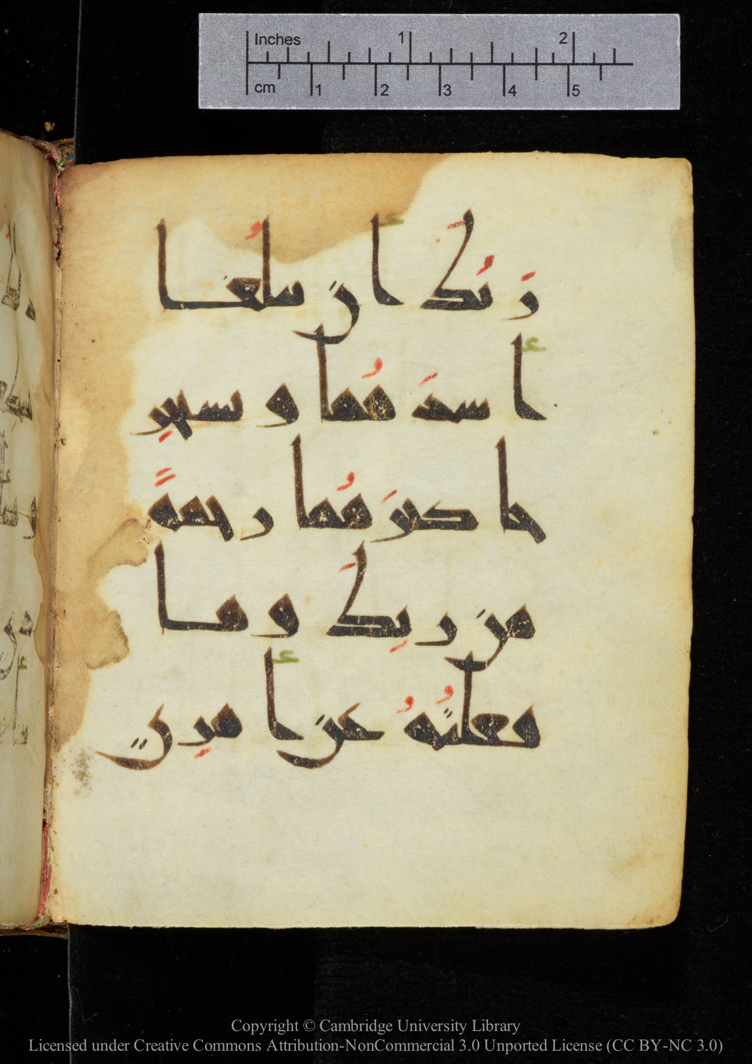 Cambridge, Cambridge University Library, MS Add.2964 (Scan 3), in New Style I script, showing Surah 18:82 from 10th to 11th Century AD found in Unknown, currently housed at Cambridge University Library, Cambridge
