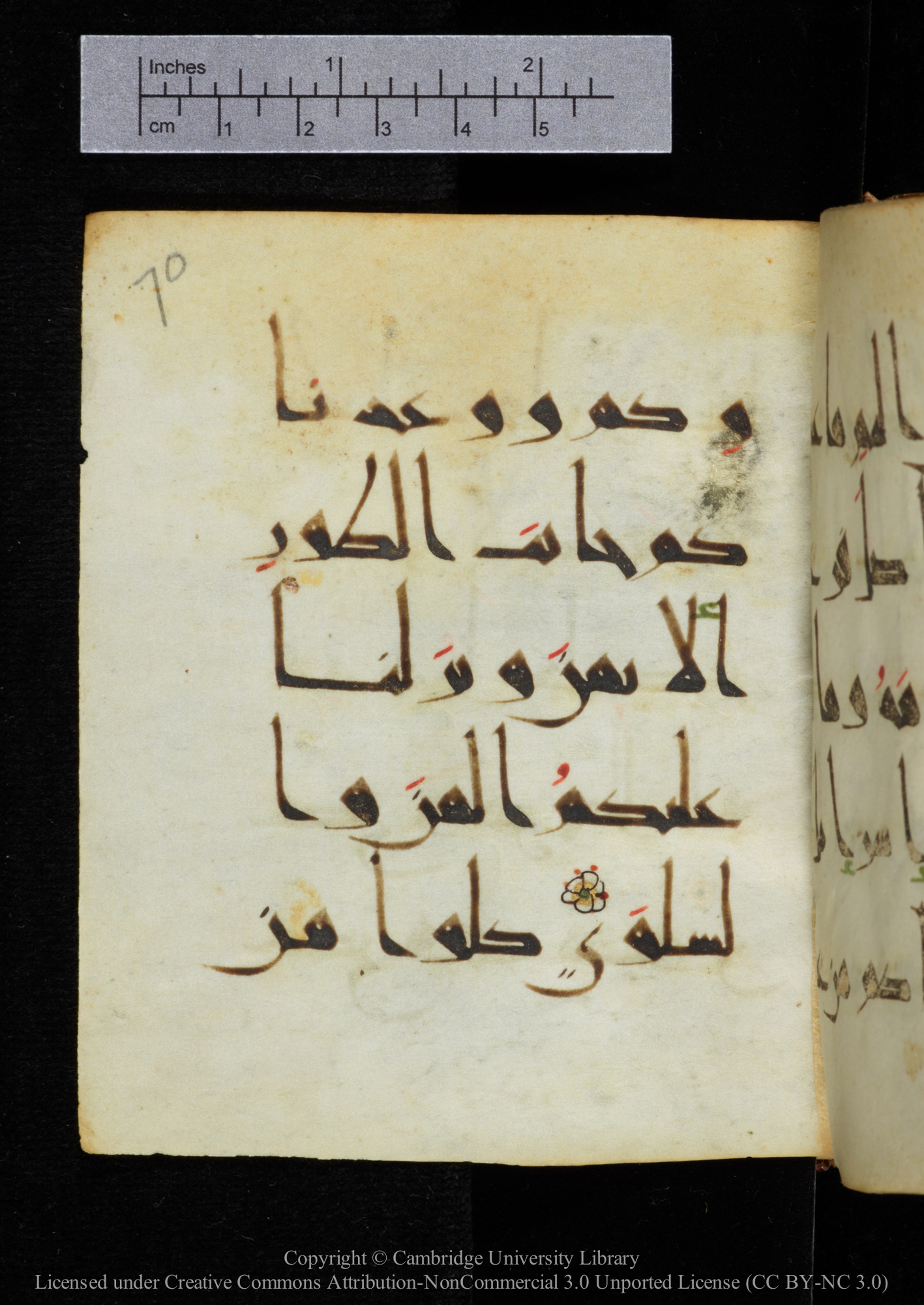 Cambridge, Cambridge University Library, MS Add.2964 (Scan 1), in New Style I script, showing Surah 20:81 from 10th to 11th Century AD found in Unknown, currently housed at Cambridge University Library, Cambridge