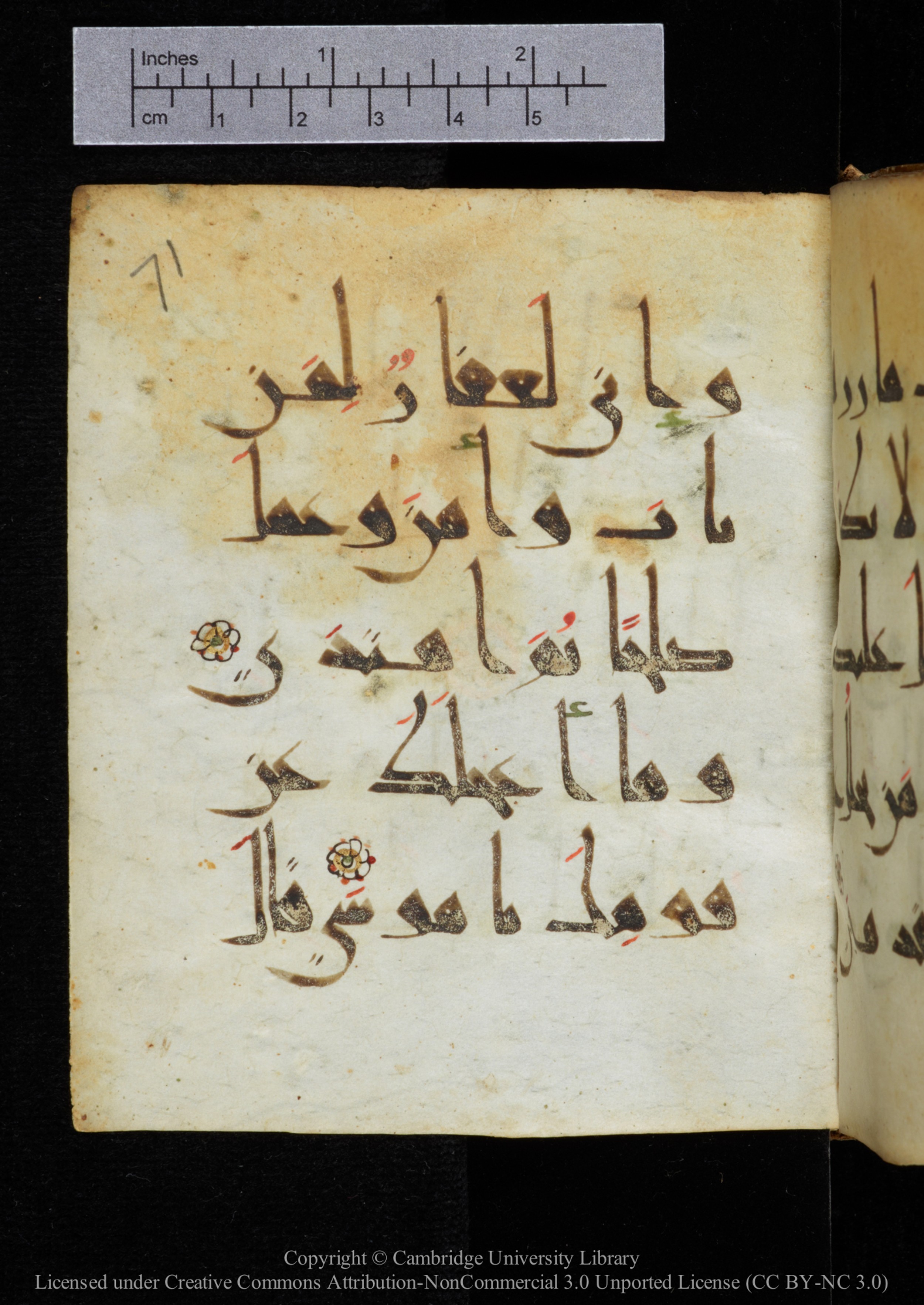 Cambridge, Cambridge University Library, MS Add.2964, in New Style I script, showing Surah 20:83 from 10th to 11th Century AD found in Unknown, currently housed at Cambridge University Library, Cambridge