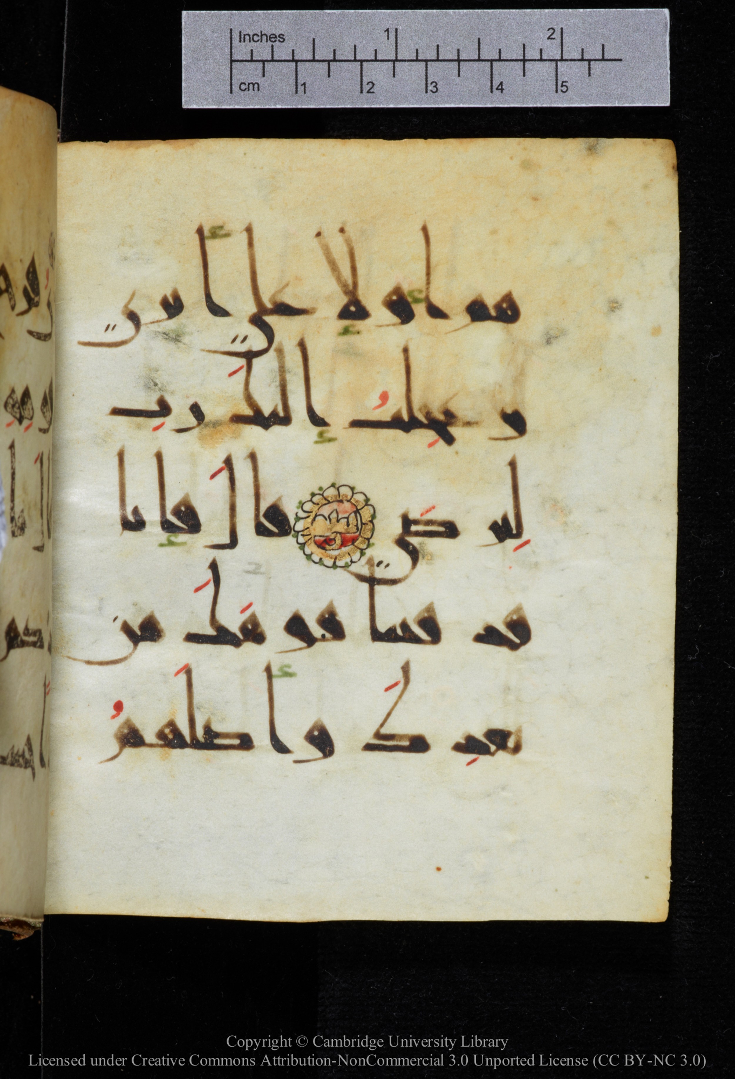 Cambridge, Cambridge University Library, MS Add.2964 (Scan 1), in New Style I script, showing Surah 20:85 from 10th to 11th Century AD found in Unknown, currently housed at Cambridge University Library, Cambridge