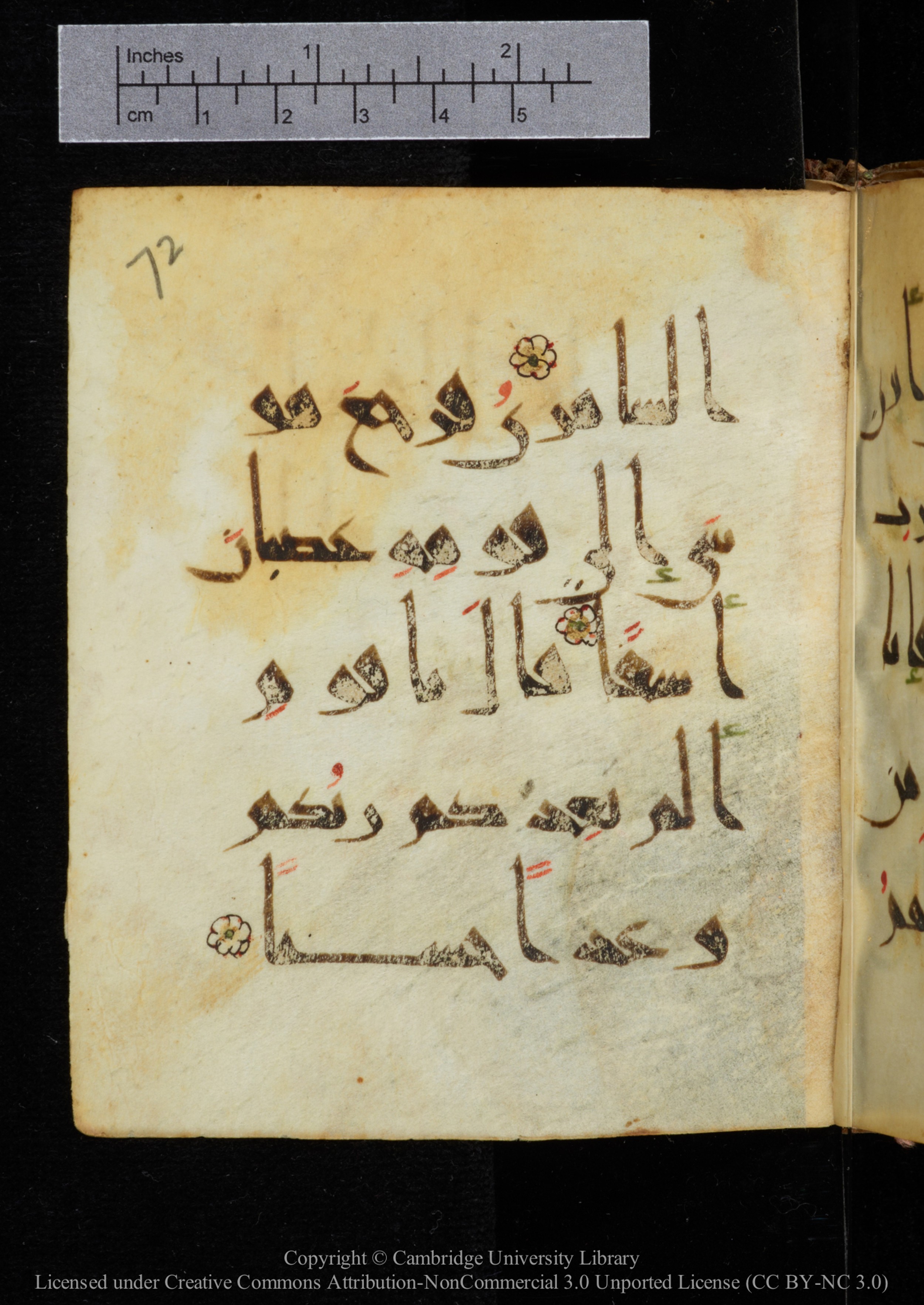 Cambridge, Cambridge University Library, MS Add.2964 (Scan 2), in New Style I script, showing Surah 20:85 from 10th to 11th Century AD found in Unknown, currently housed at Cambridge University Library, Cambridge