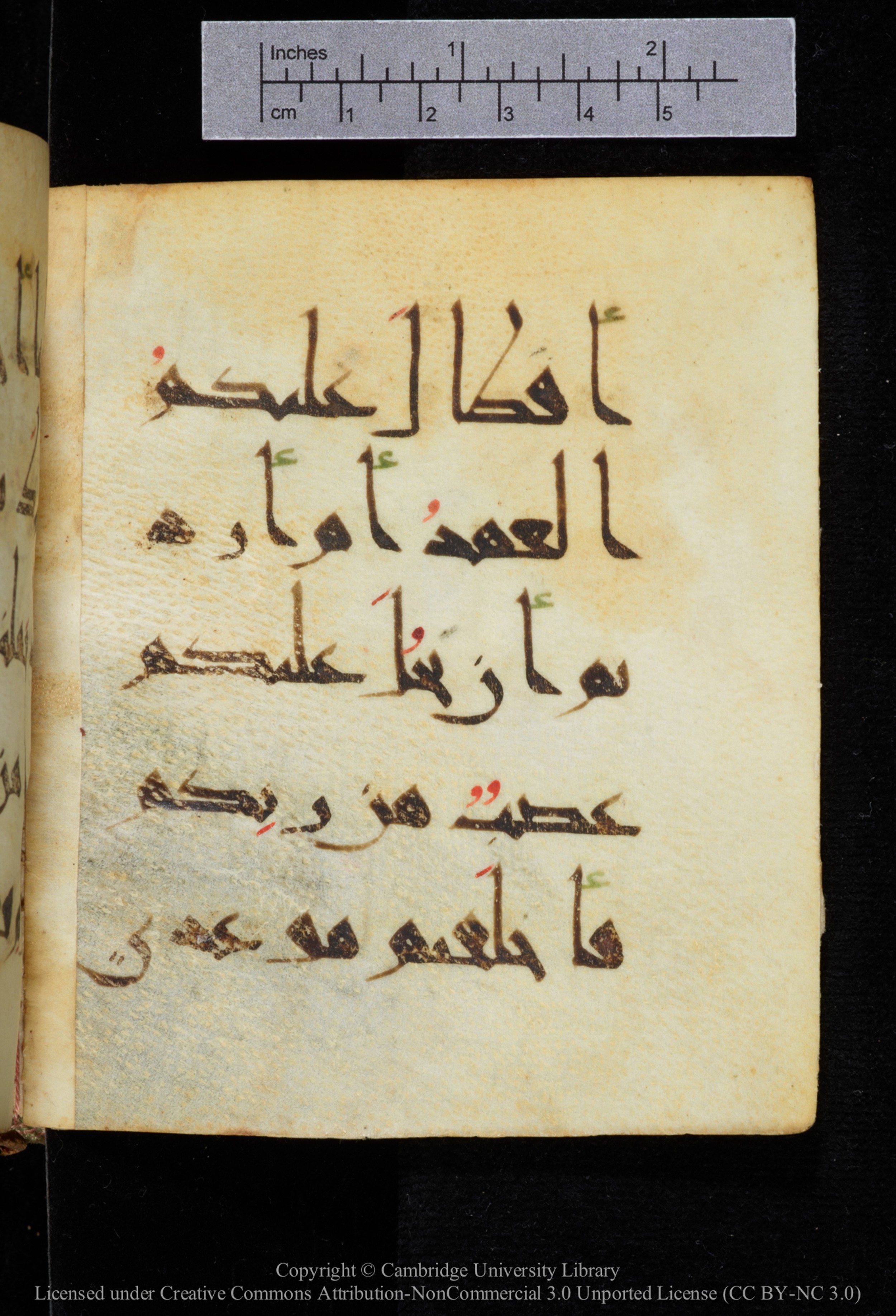 Cambridge, Cambridge University Library, MS Add.2964 (Scan 2), in New Style I script, showing Surah 20:86 from 10th to 11th Century AD found in Unknown, currently housed at Cambridge University Library, Cambridge